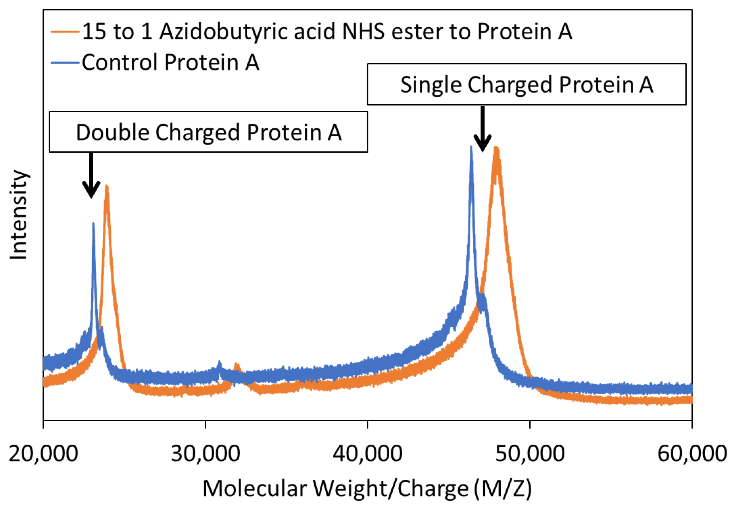 Polymers 16 00239 g001
