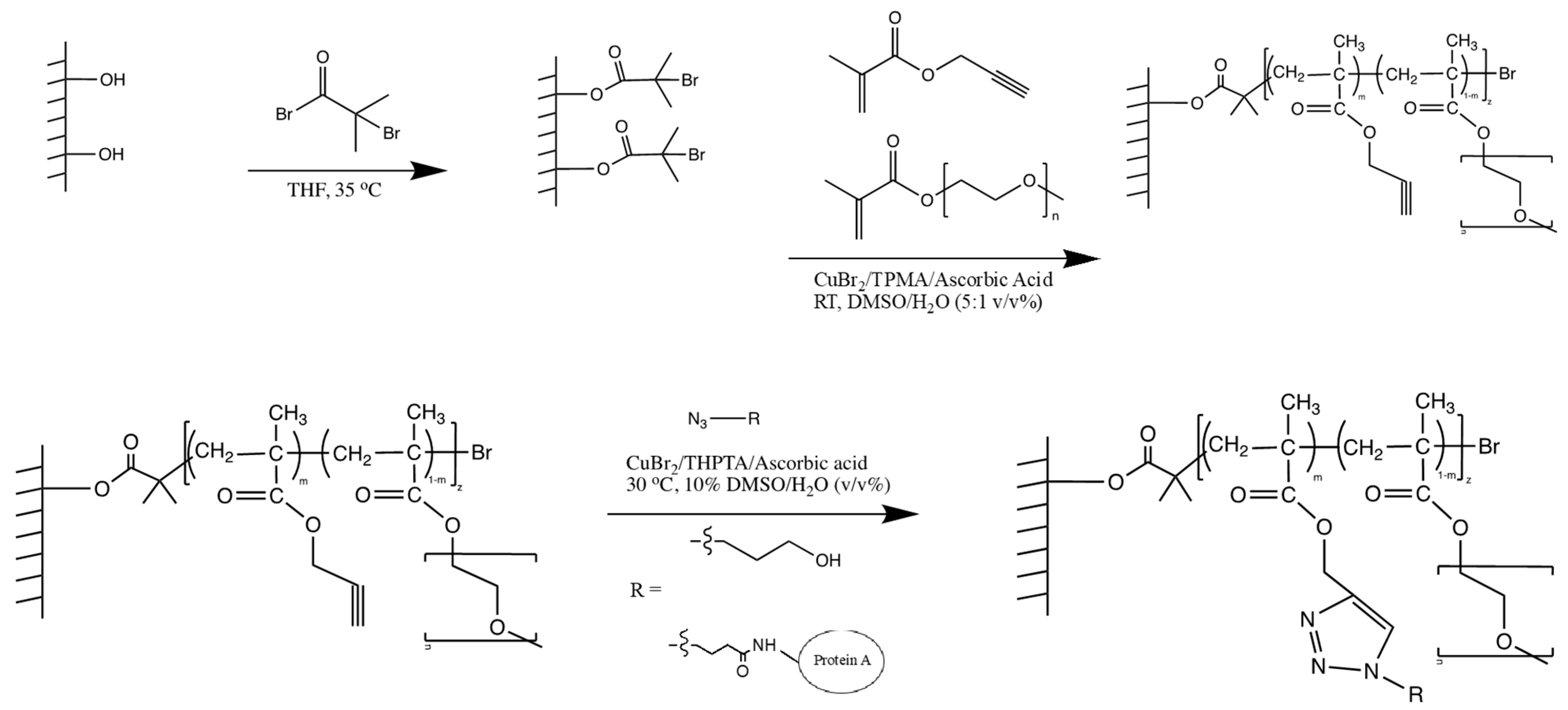 Polymers 16 00239 sch001