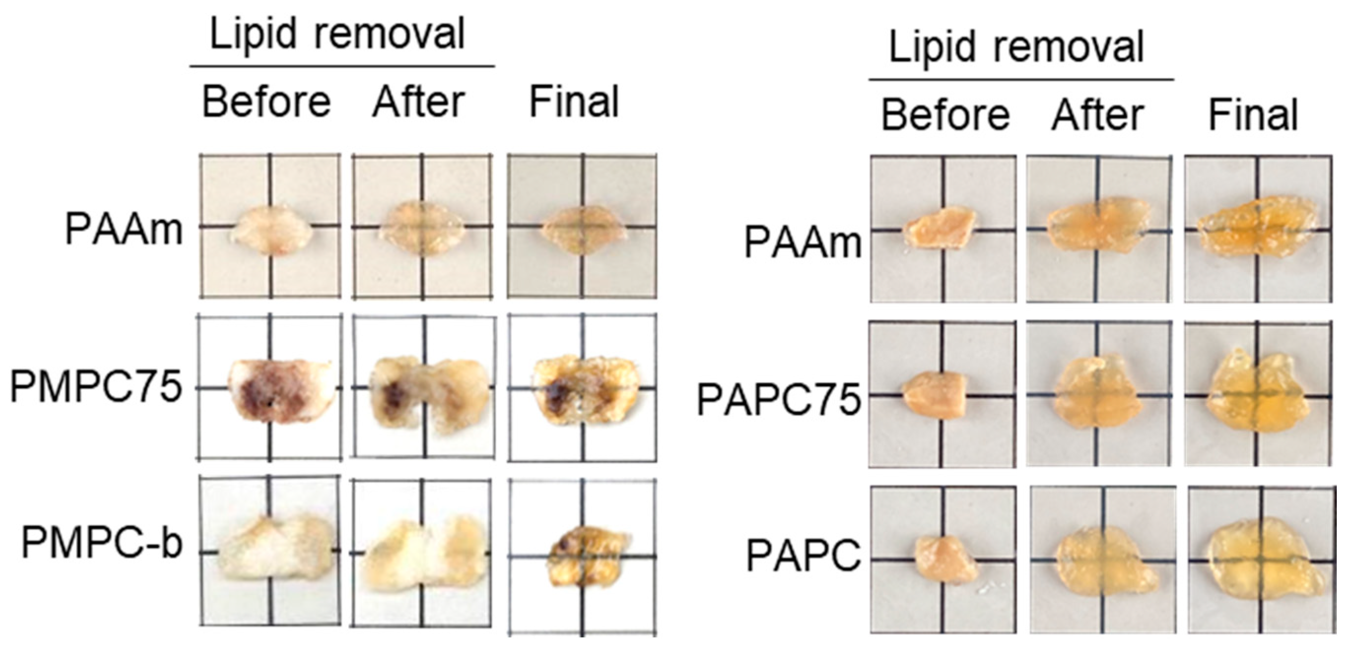 Polymers 16 00241 g007