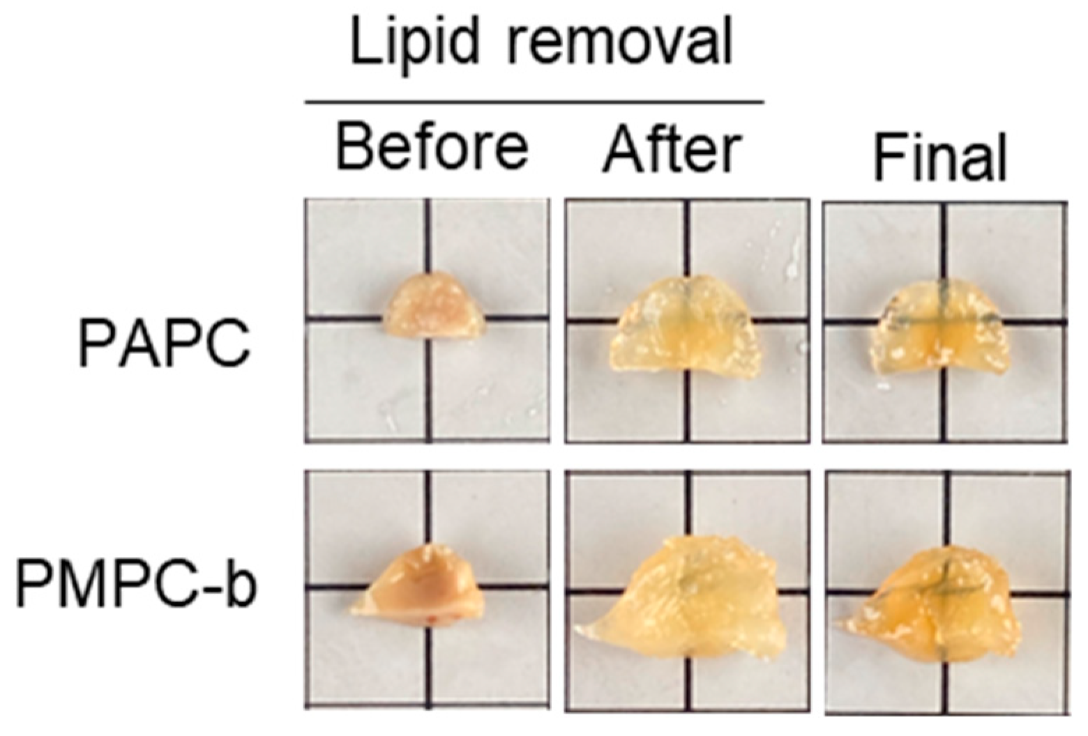 Polymers 16 00241 g008