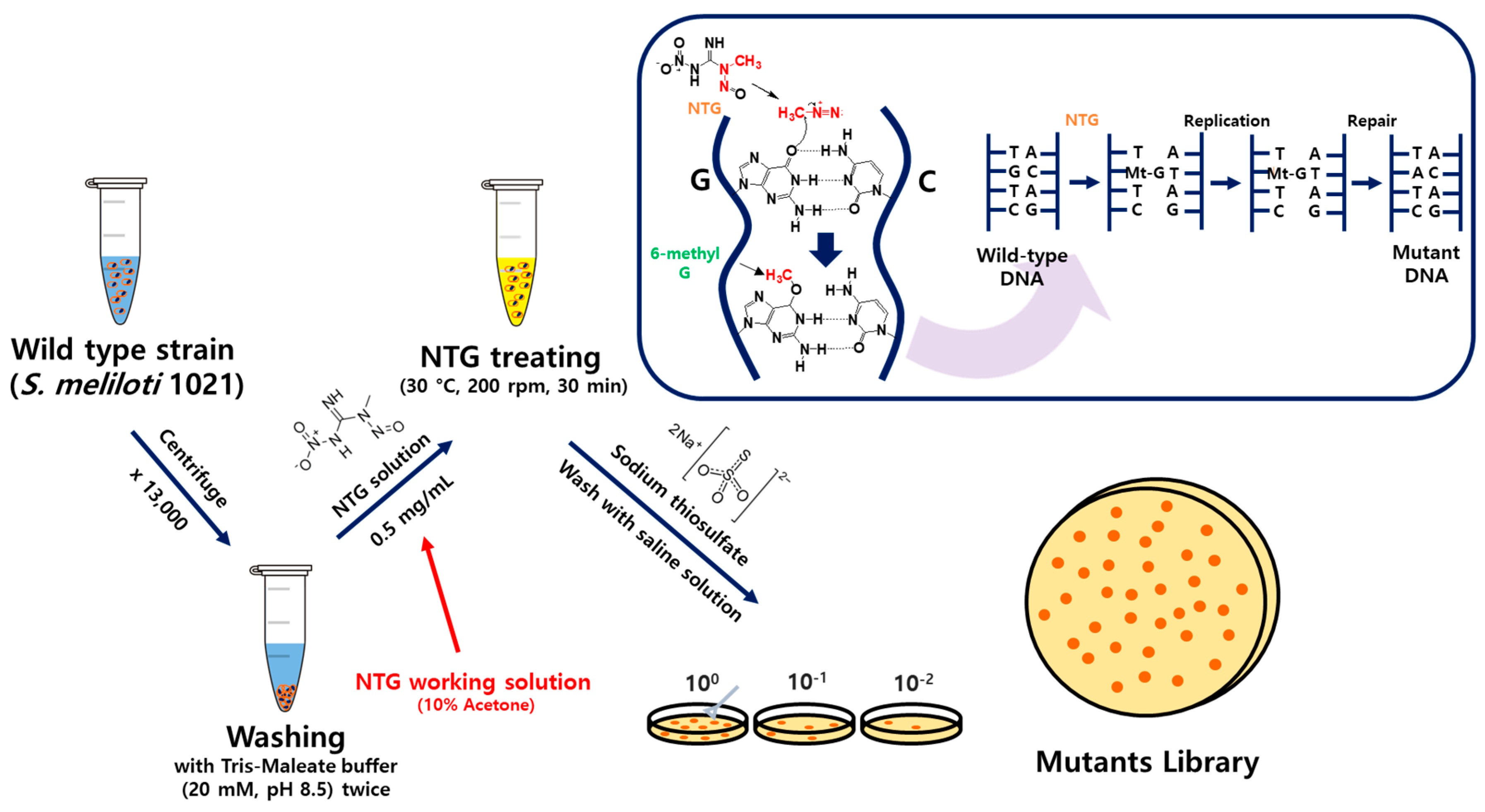 Polymers 16 00244 g001