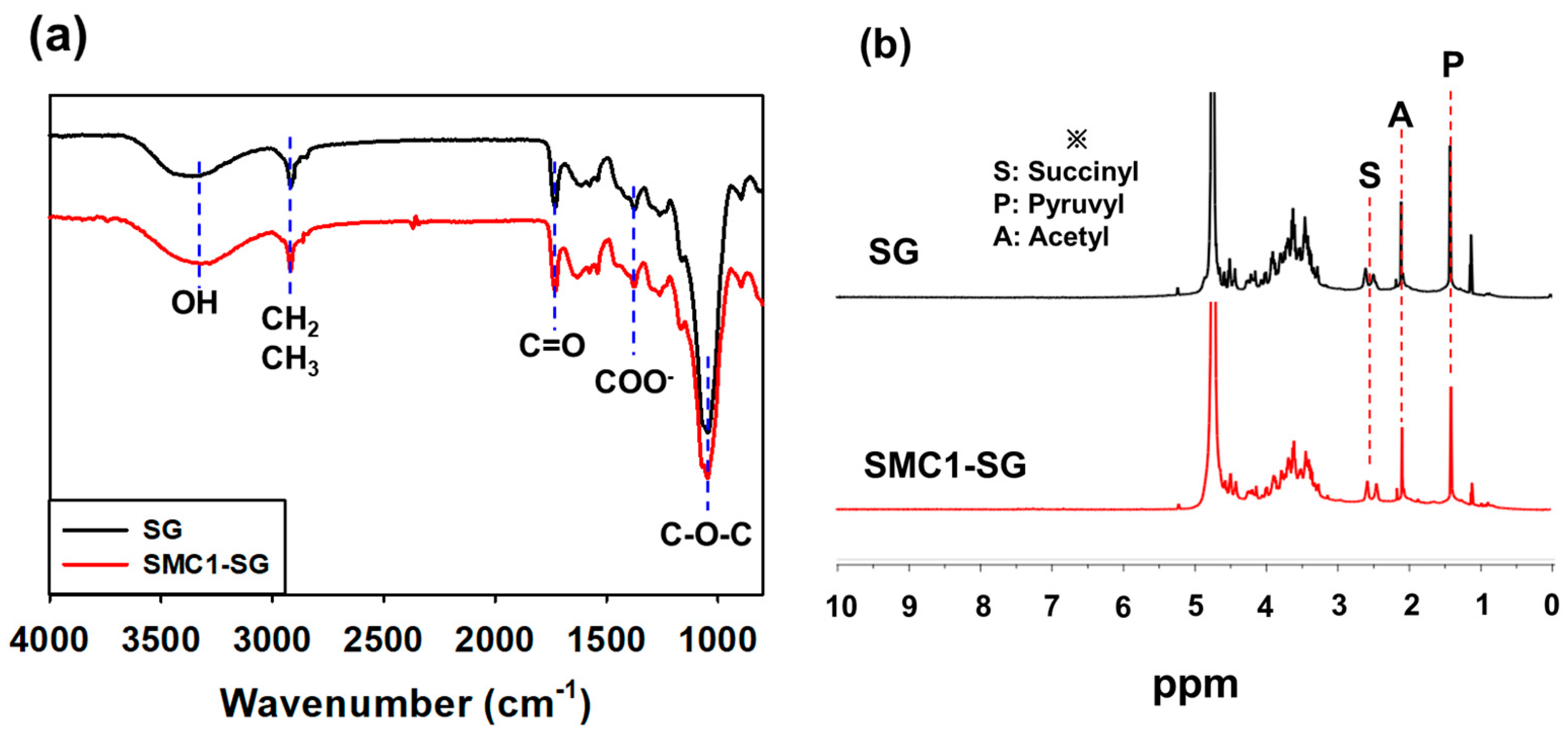 Polymers 16 00244 g004