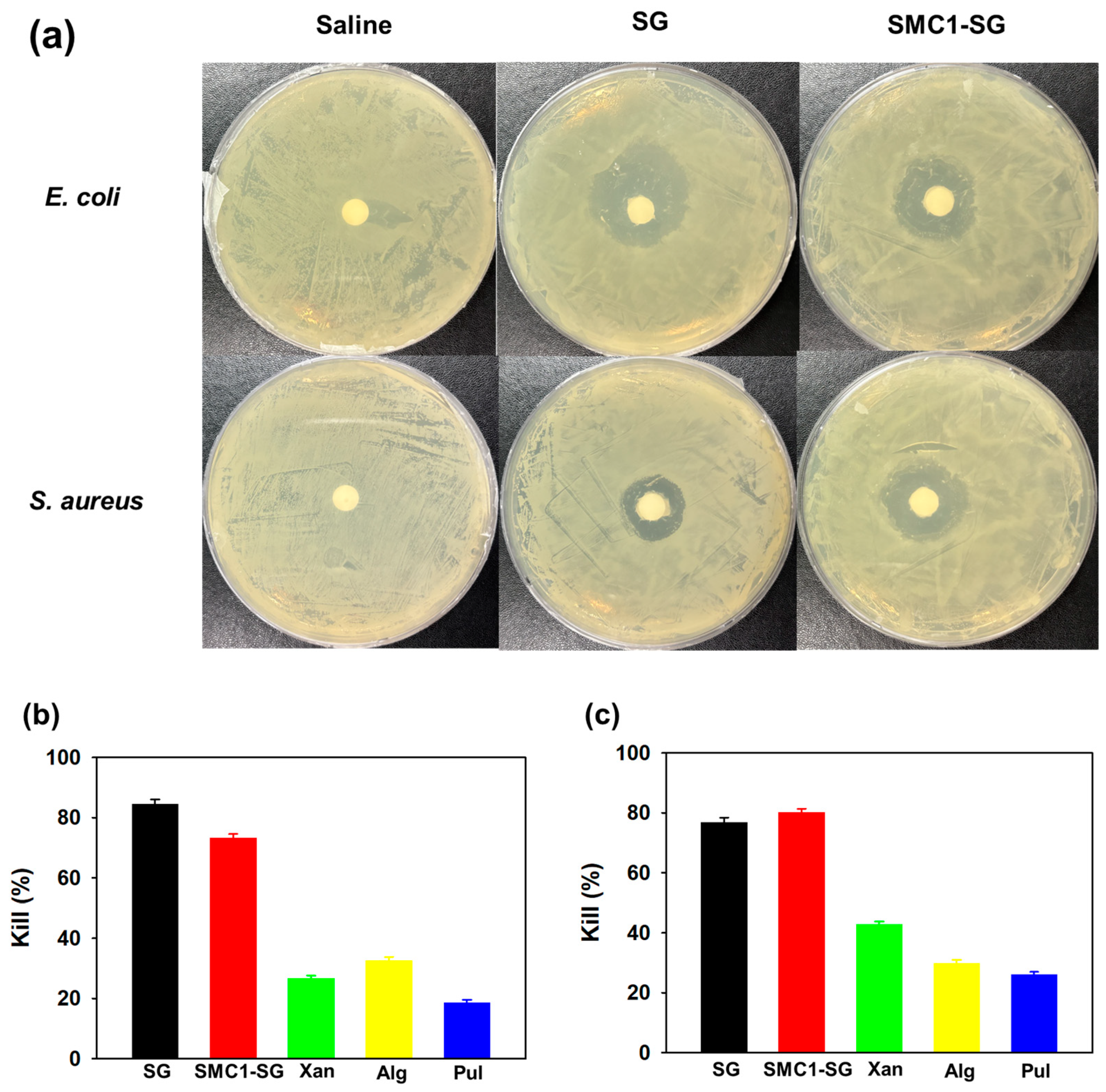 Polymers 16 00244 g013