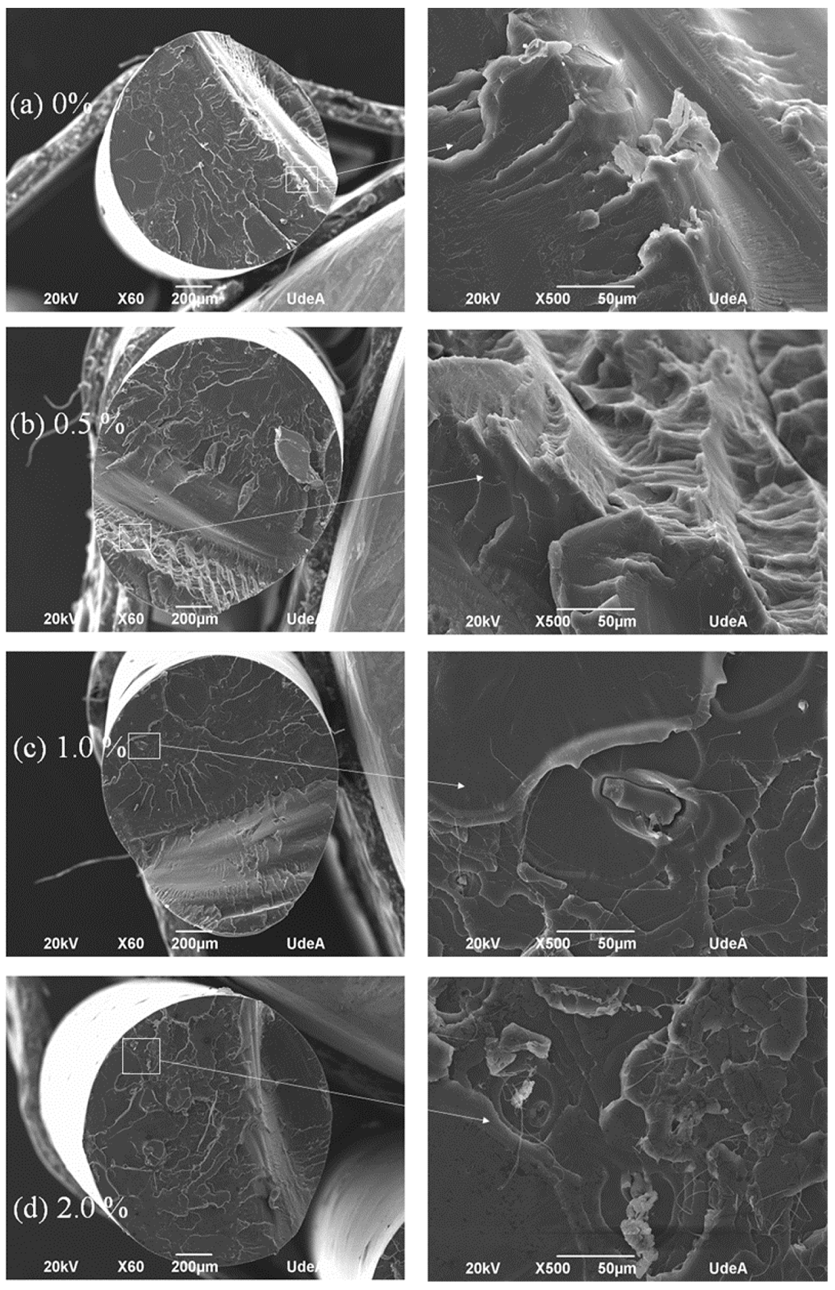 Polymers 16 00245 g005