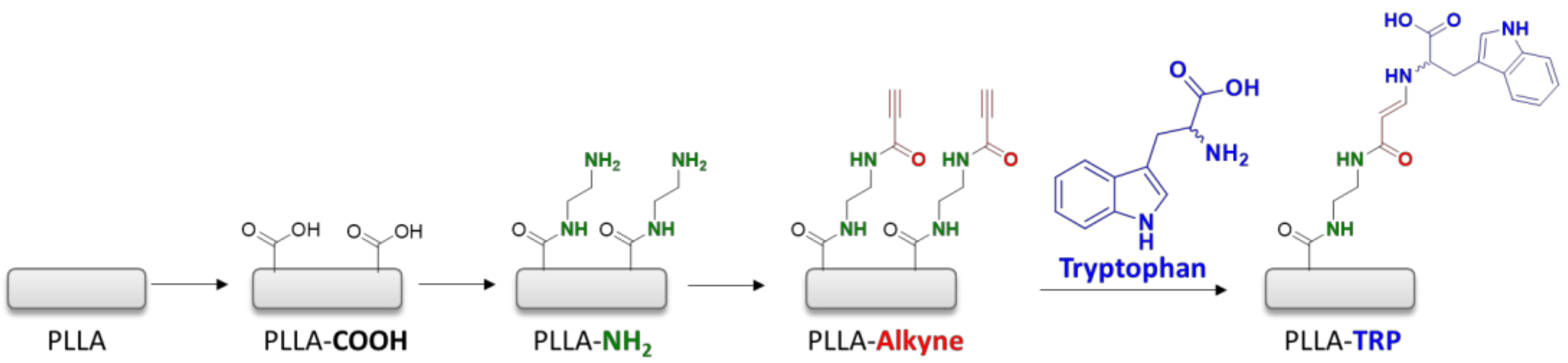 Polymers 16 00246 sch002