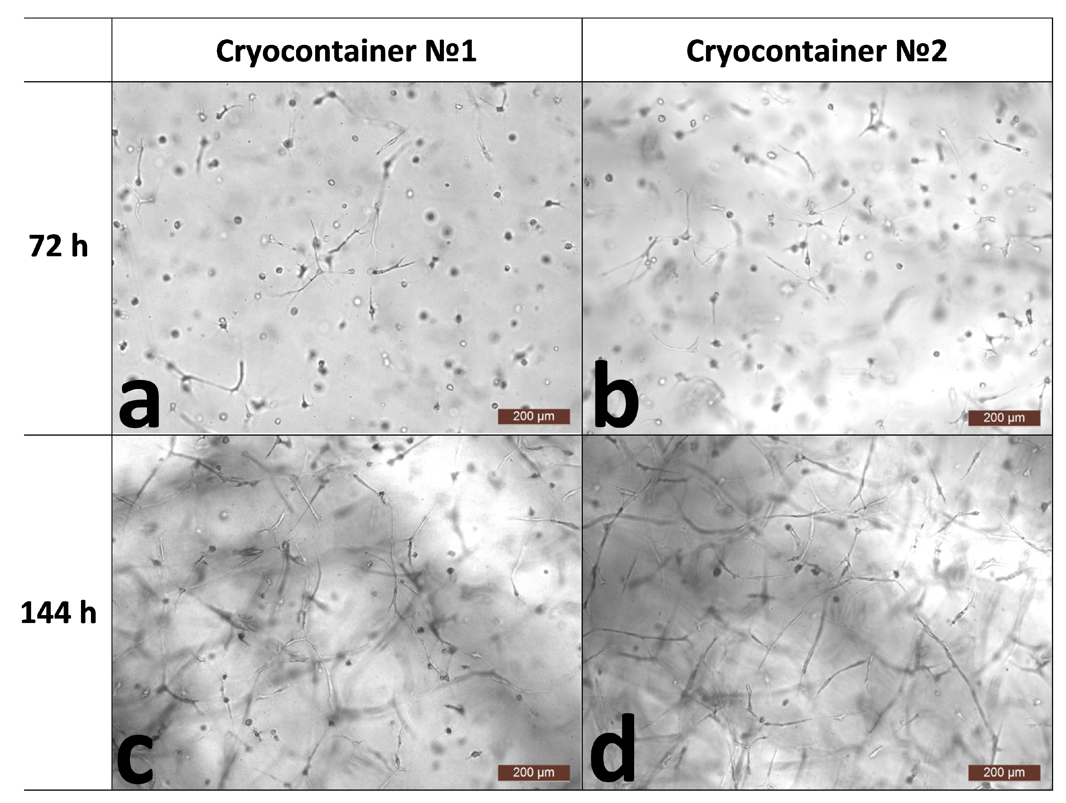 Polymers 16 00247 g001 Polymers 16 00247 g001