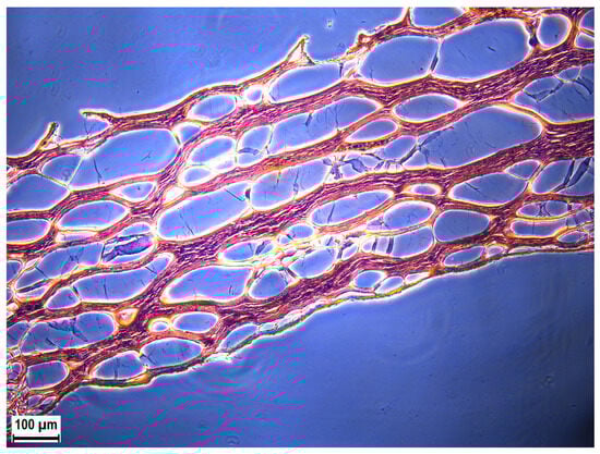 Polymers 16 00248 g0a3