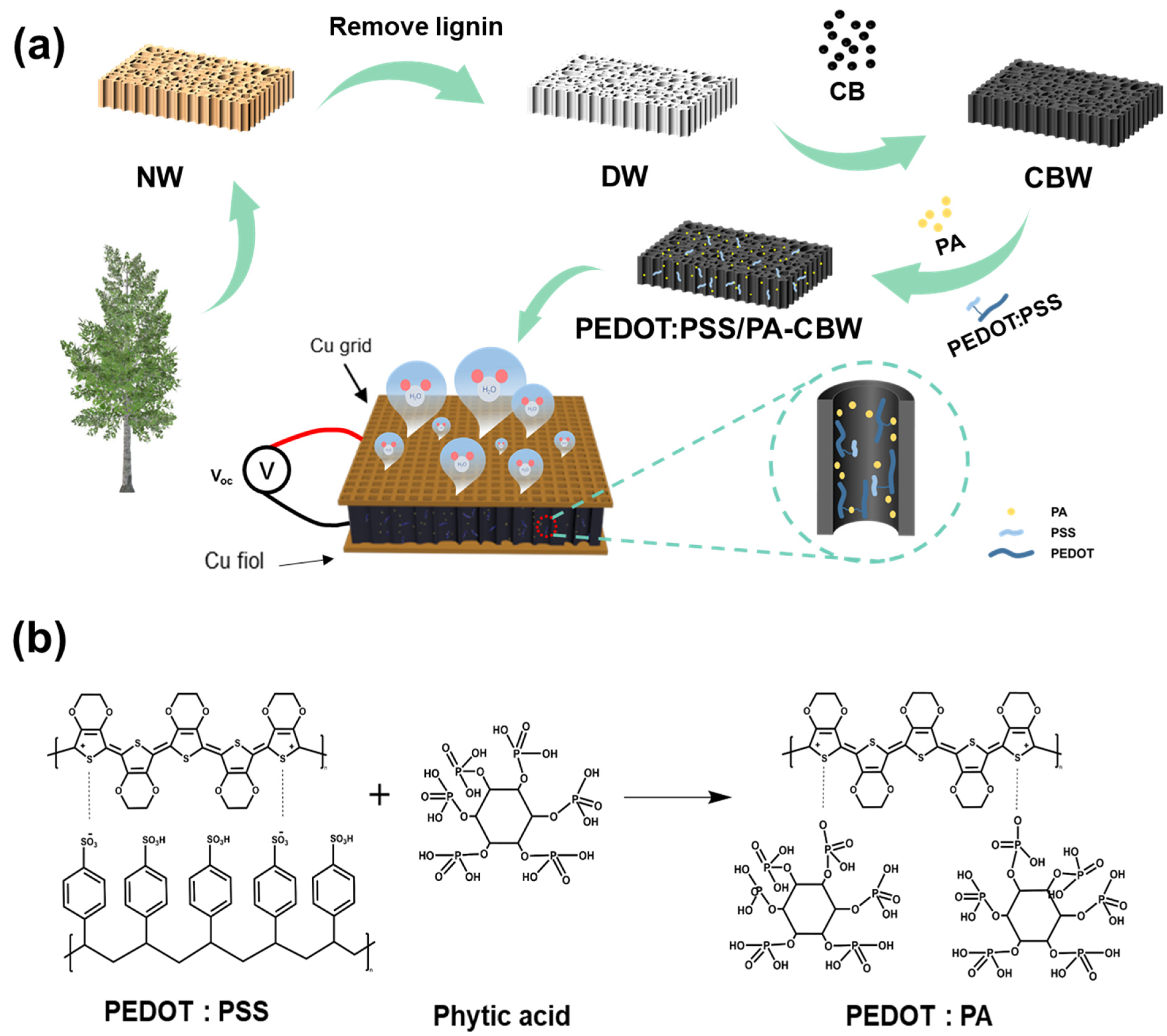 Polymers 16 00260 g001