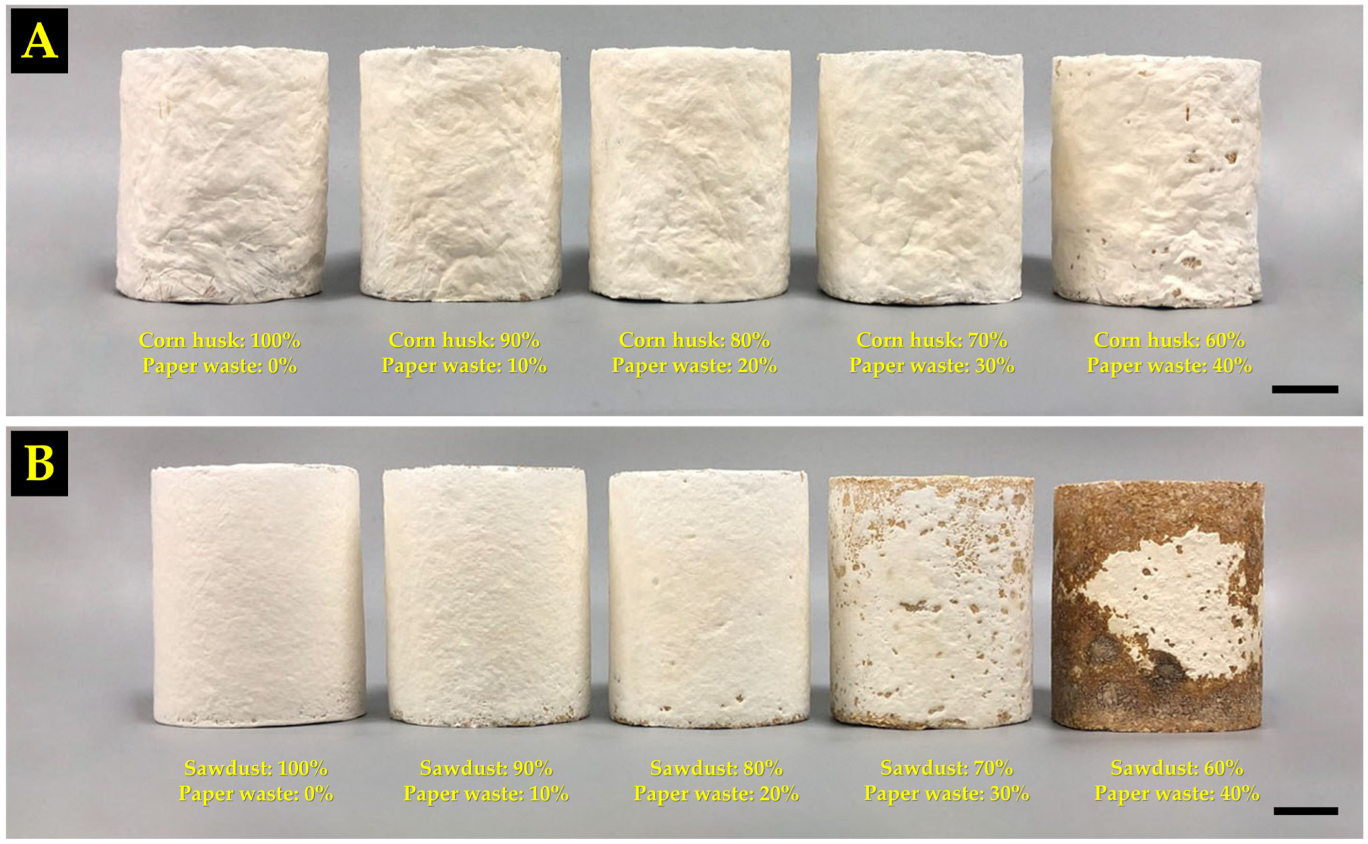 Polymers 16 00262 g004 Polymers 16 00262 g004