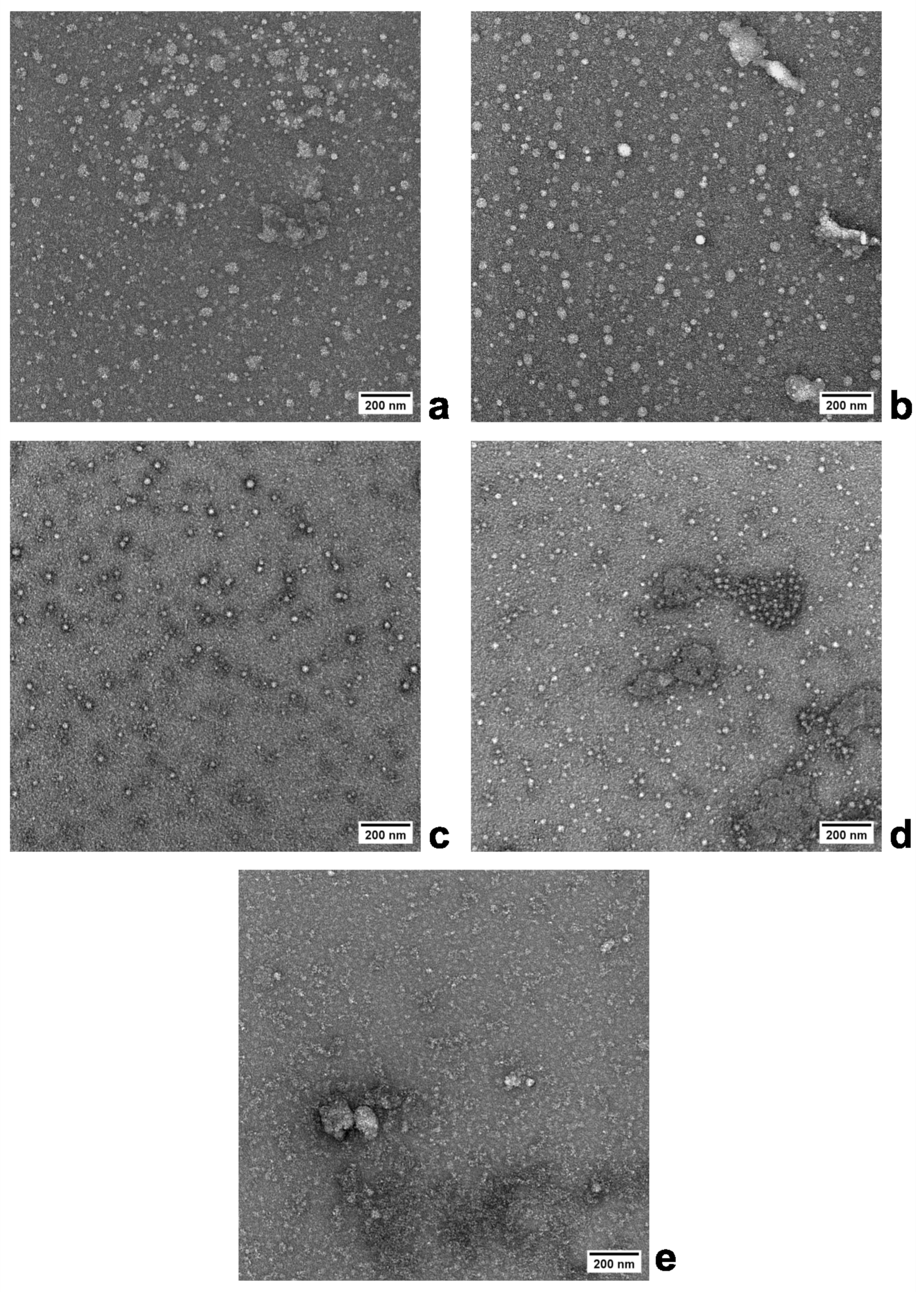 Polymers 16 00263 g001