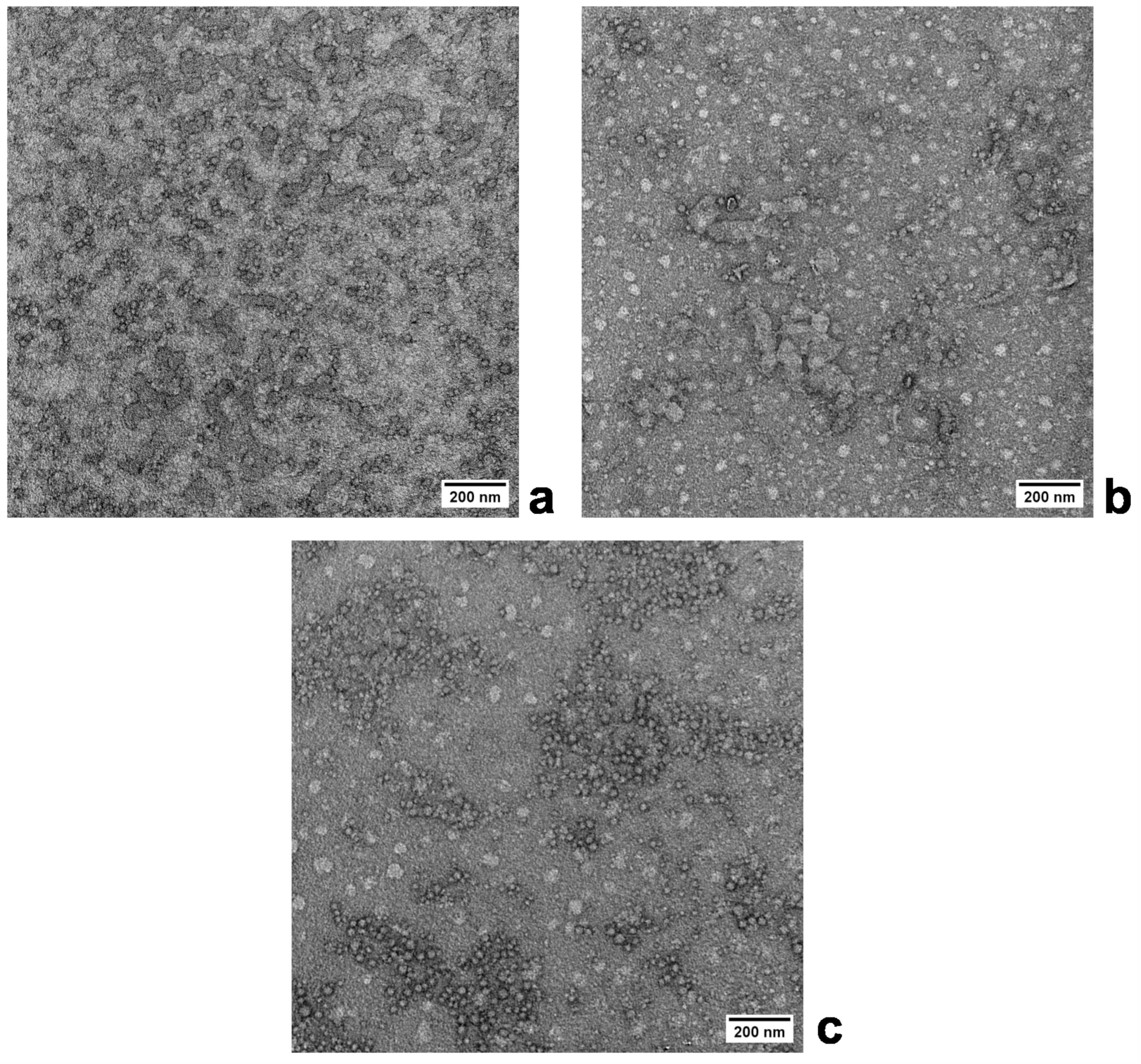 Polymers 16 00263 g003