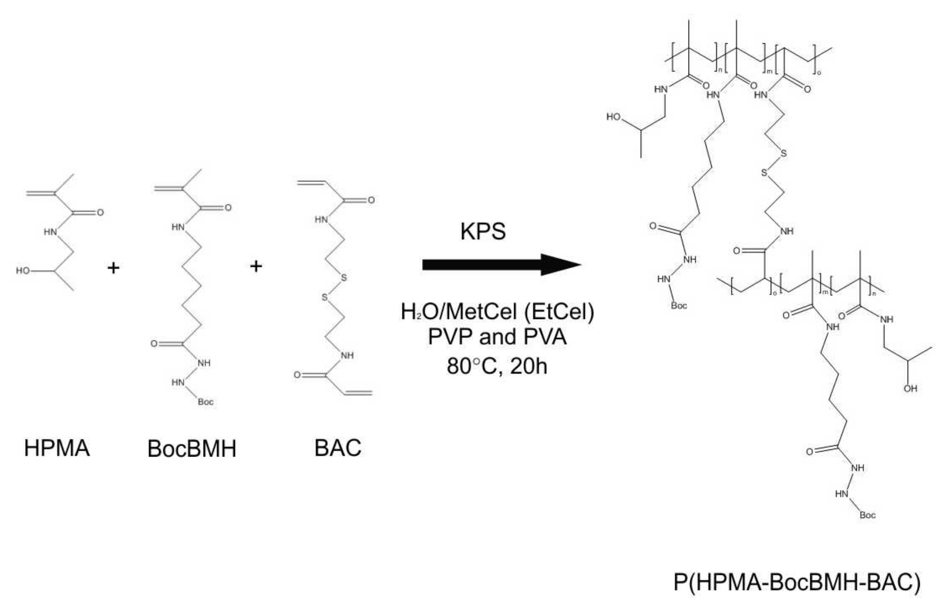 Polymers 16 00263 sch001