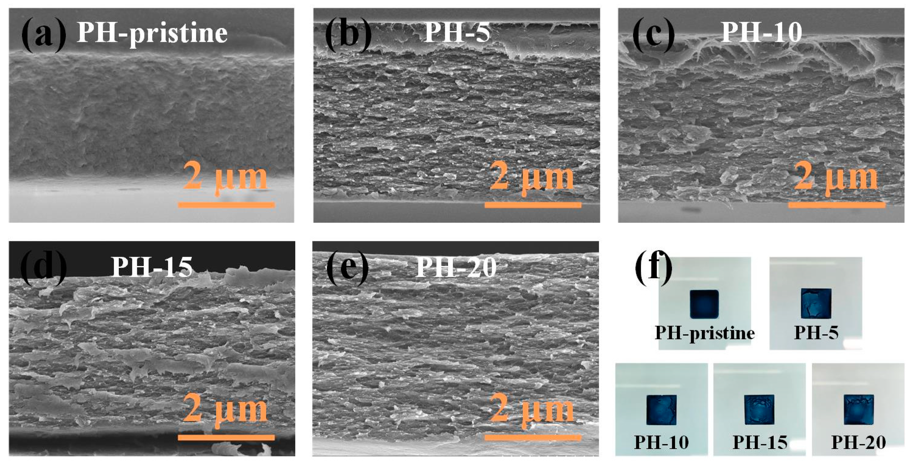 Polymers 16 00266 g002