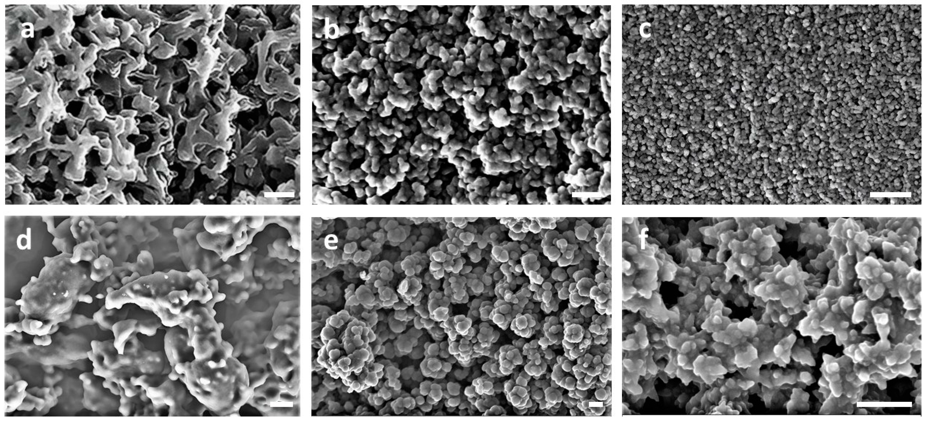 Polymers 16 00269 g002