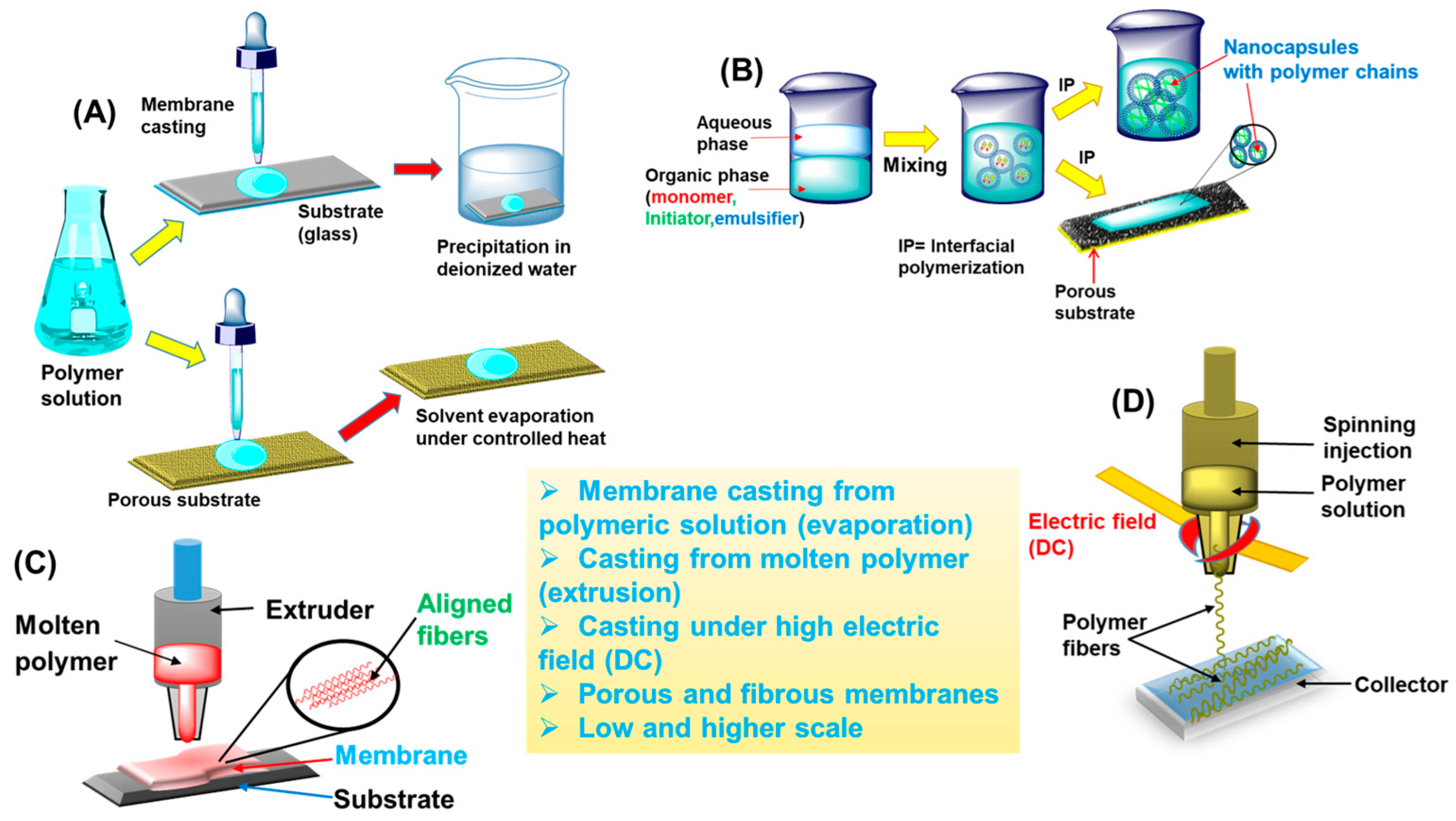 Polymers 16 00271 g003
