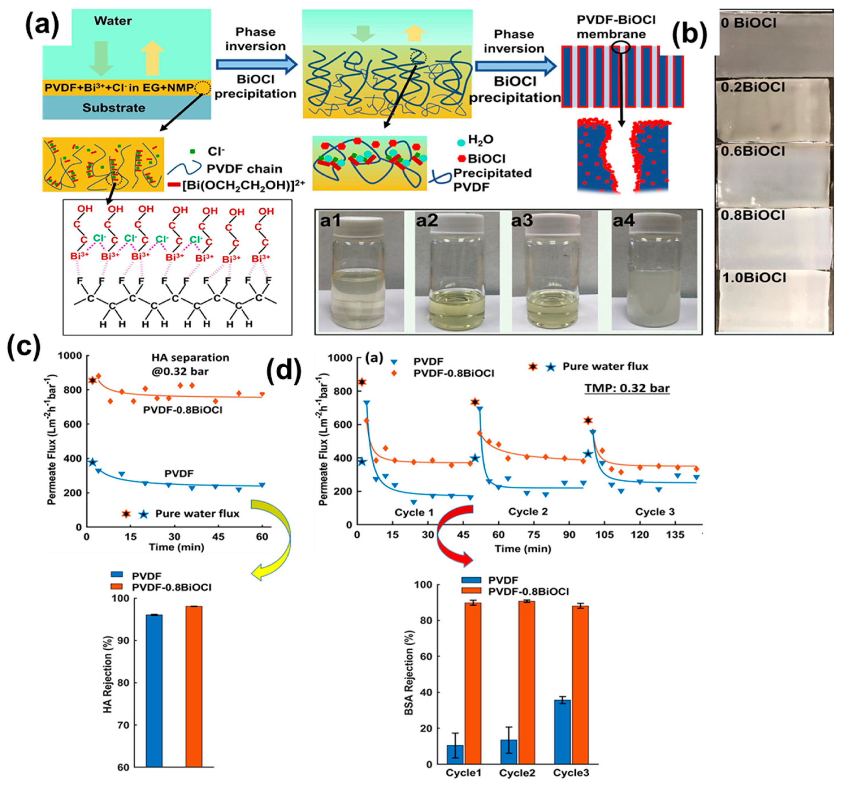 Polymers 16 00271 g009
