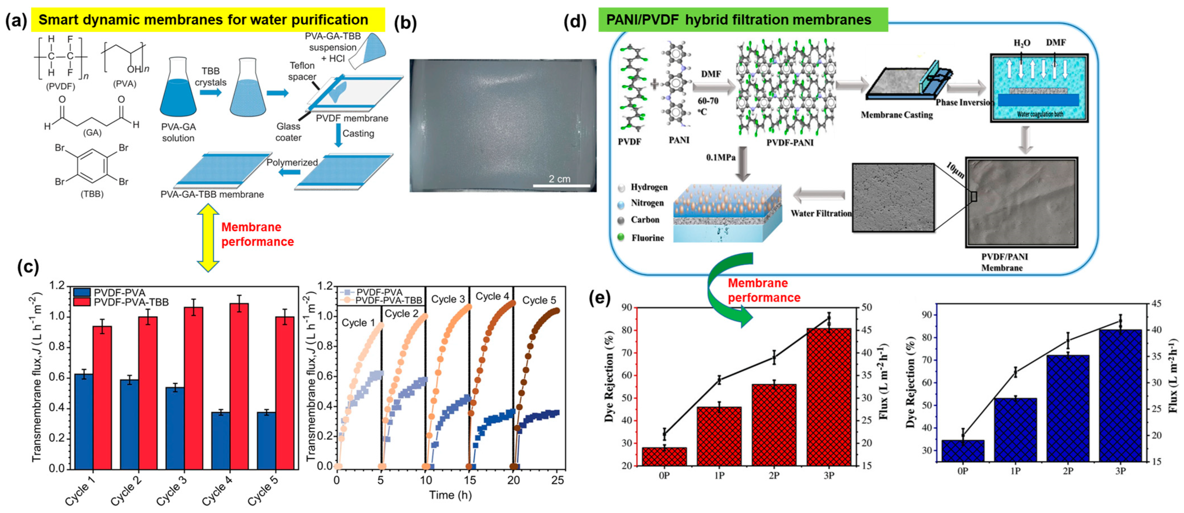 Polymers 16 00271 g010
