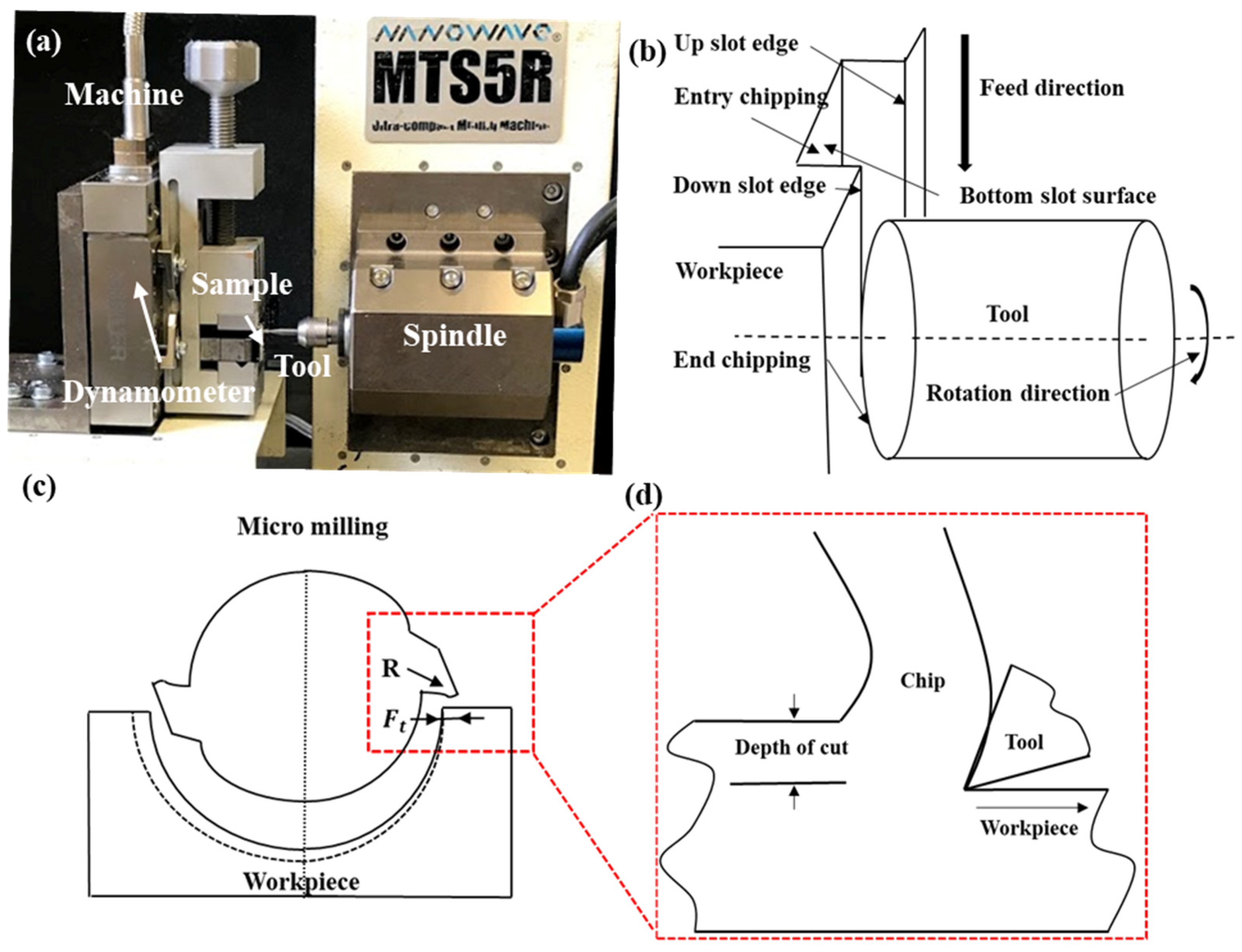 Polymers 16 00273 g003