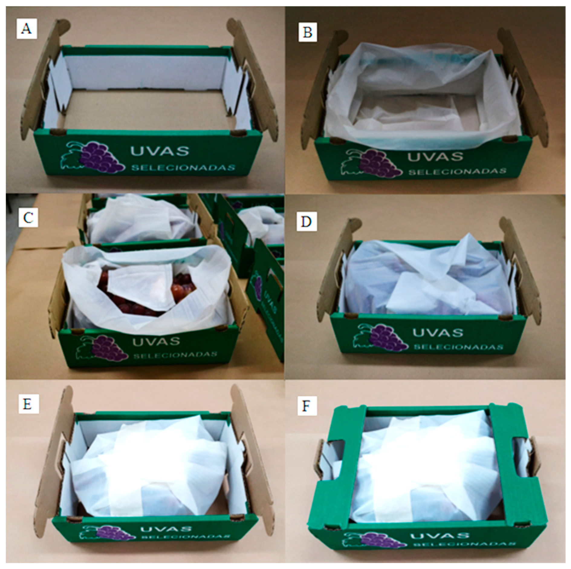 Polymers 16 00274 g001