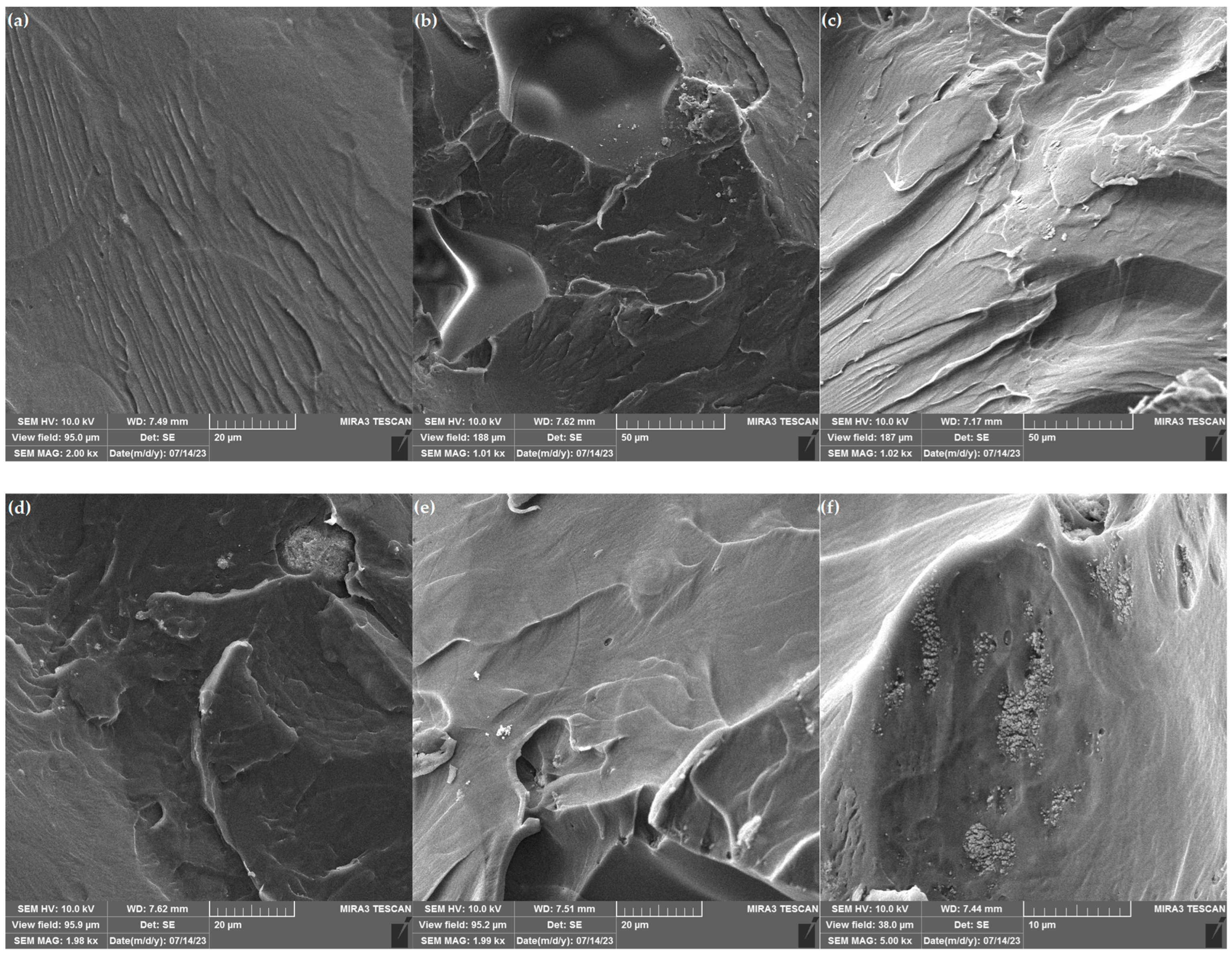 Polymers 16 00278 g003
