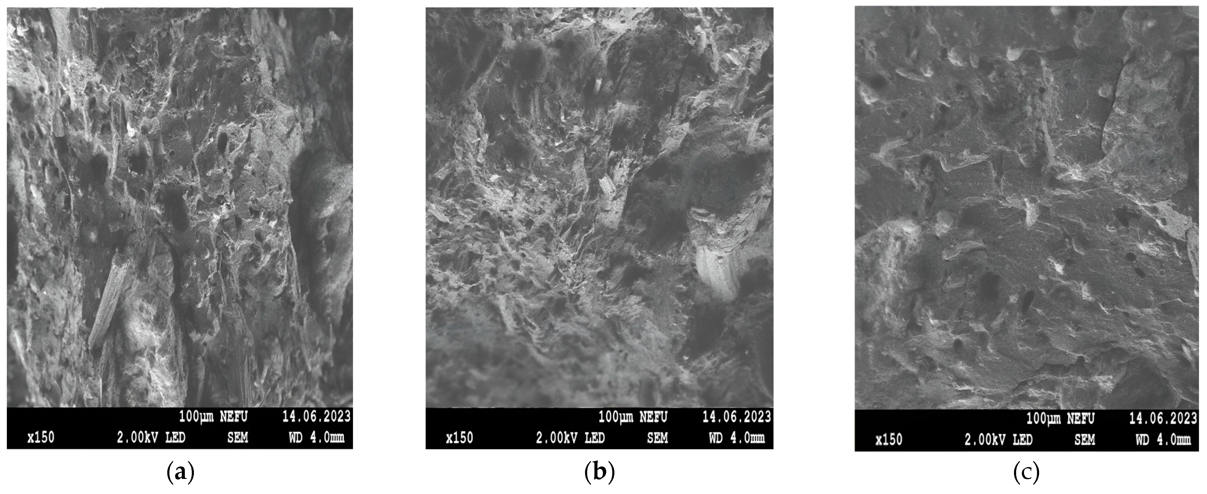 Polymers 16 00282 g005 Polymers 16 00282 g005