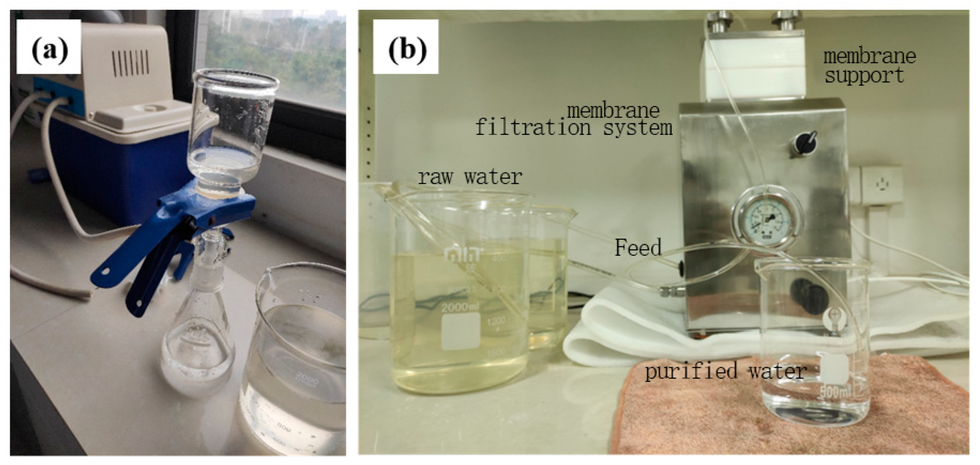 Polymers 16 00285 g001