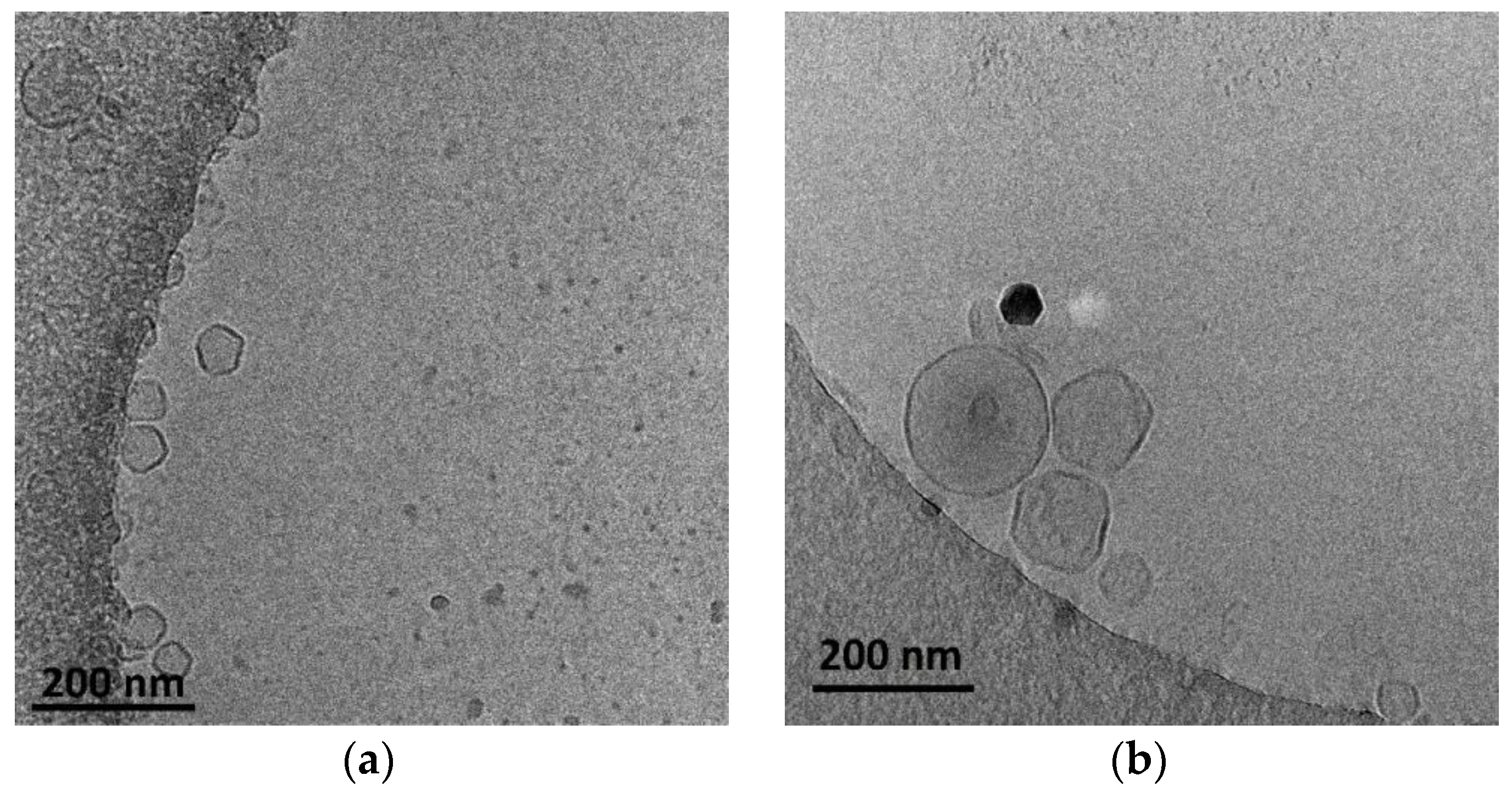Polymers 16 00290 g002