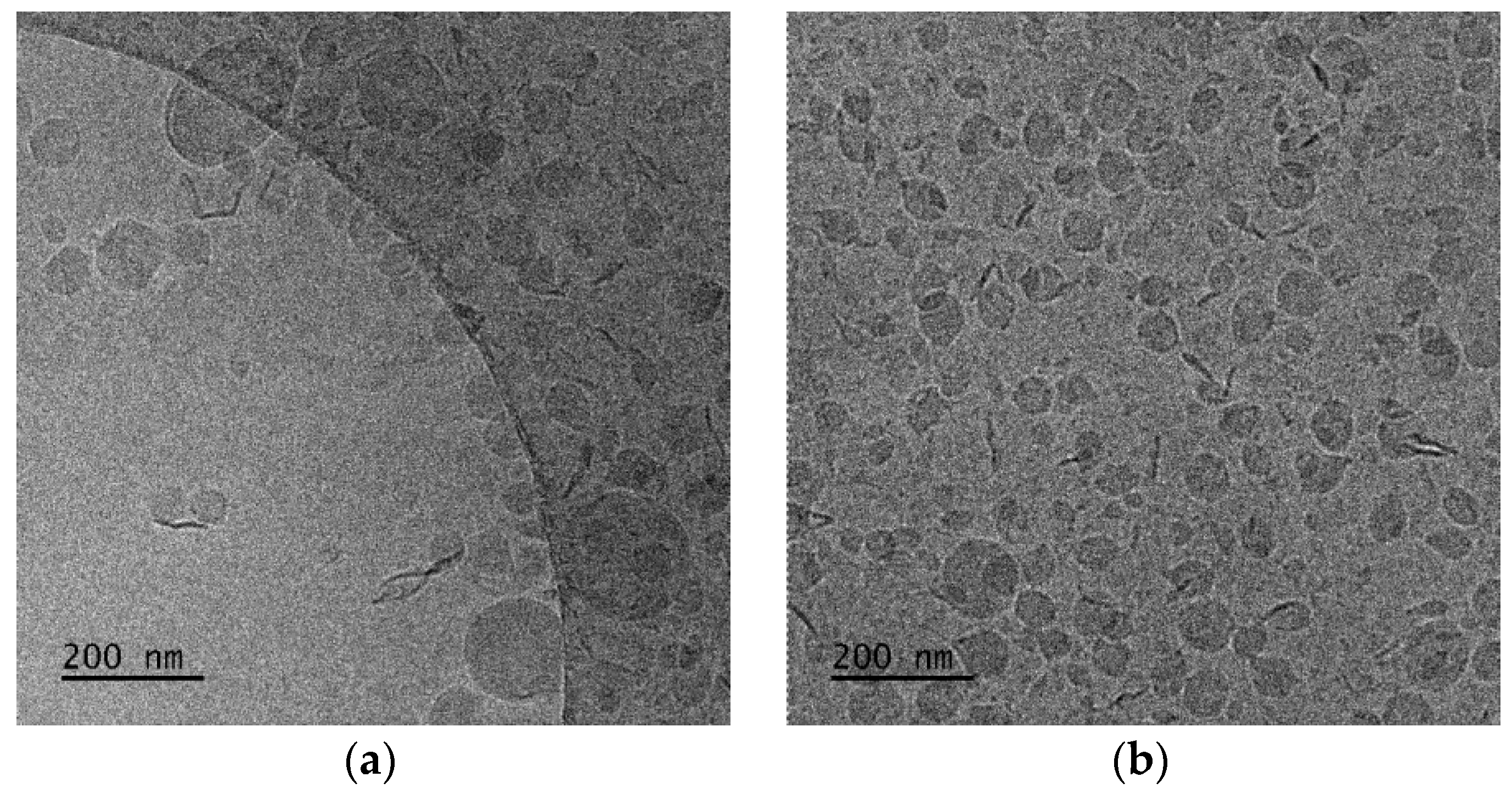 Polymers 16 00290 g004