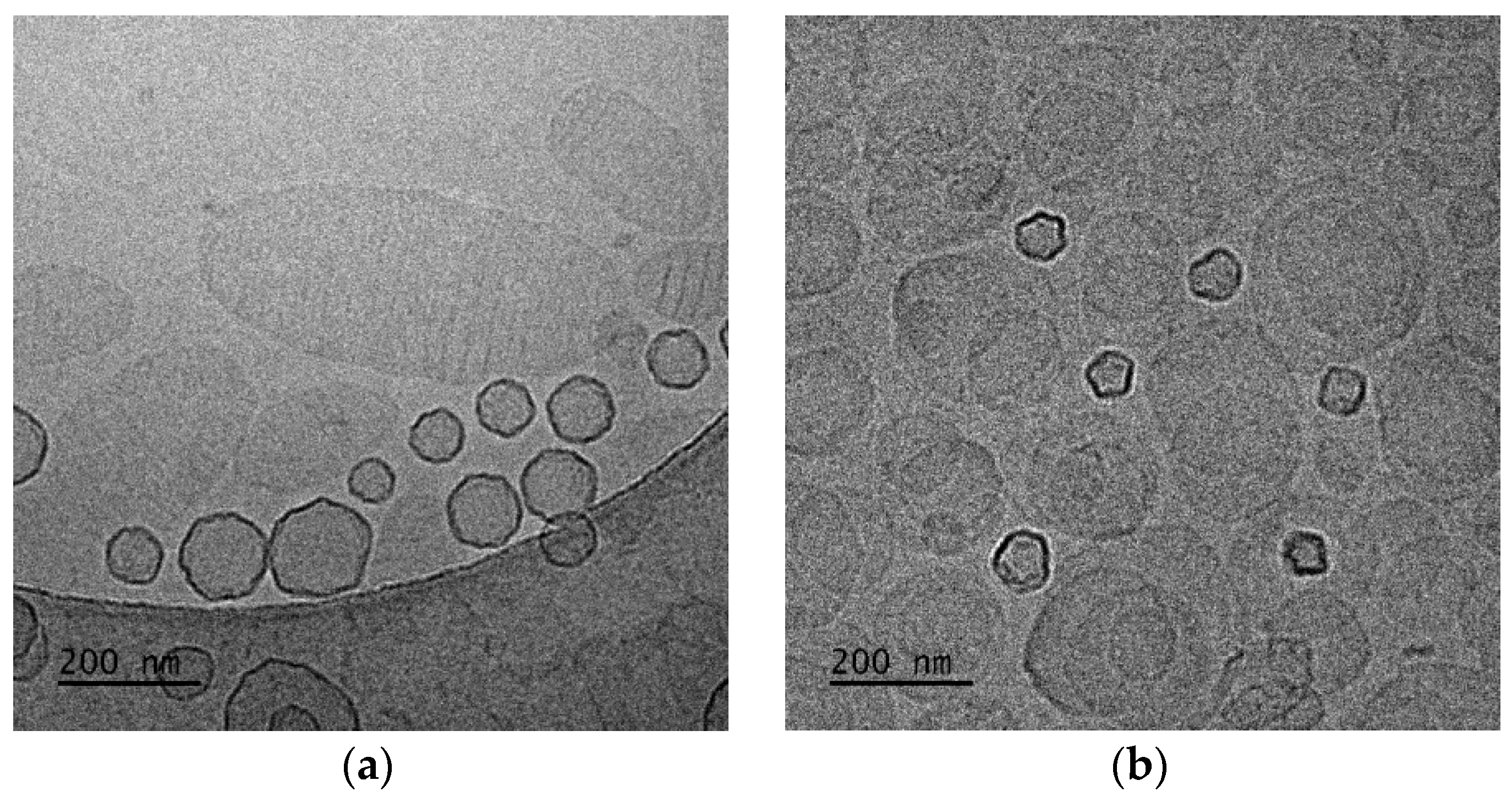 Polymers 16 00290 g006