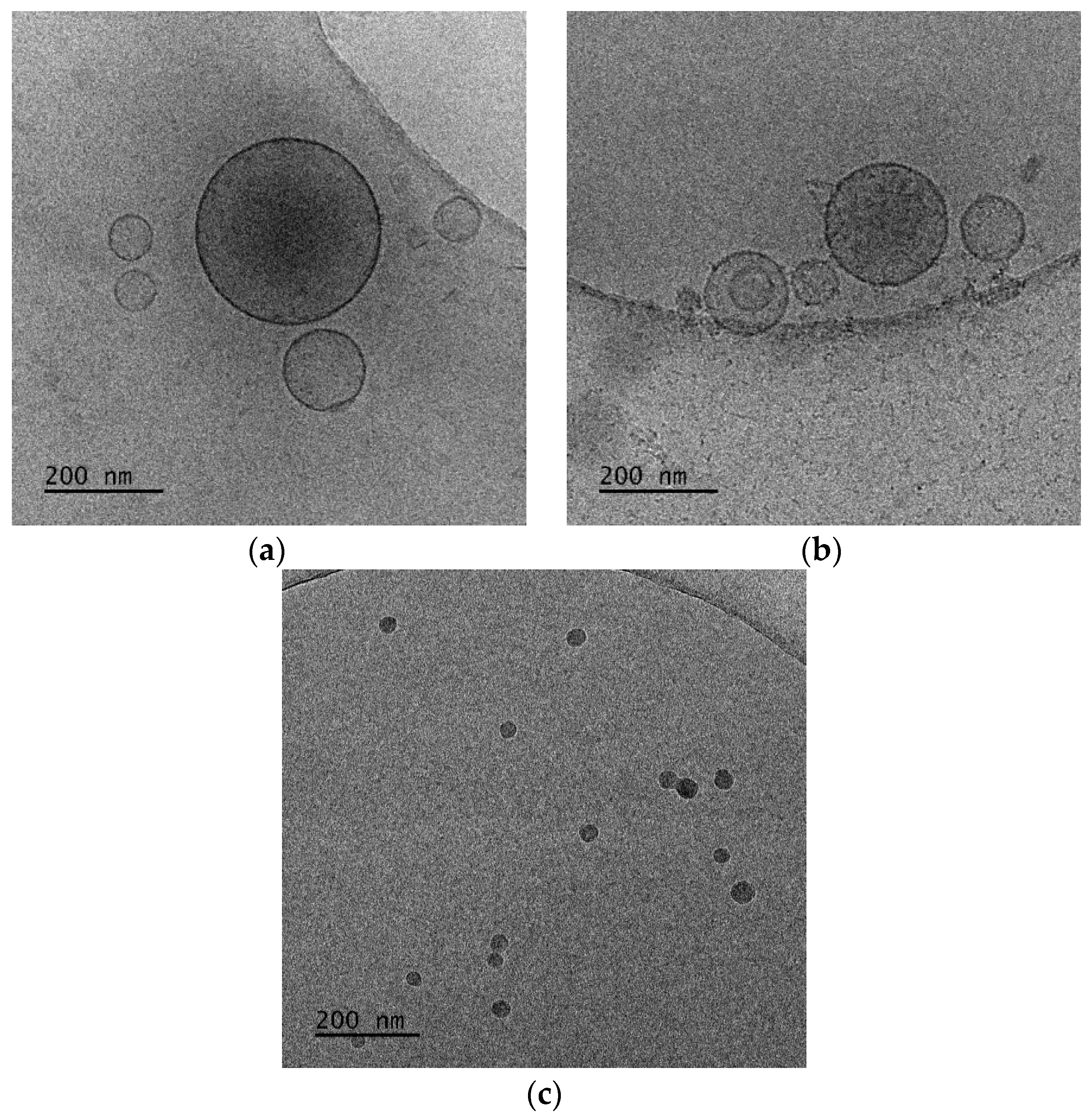 Polymers 16 00290 g008
