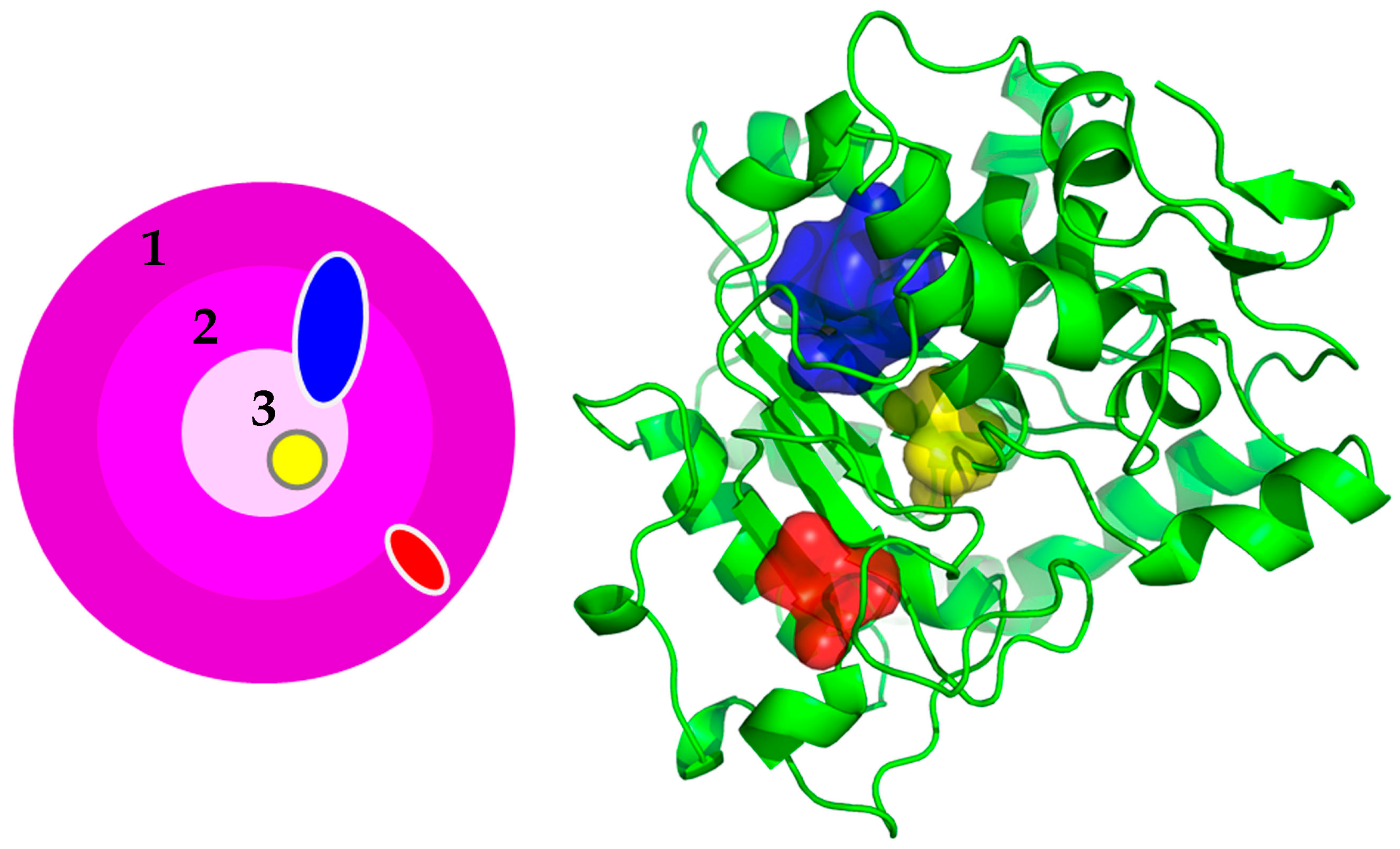Polymers 16 00291 g002