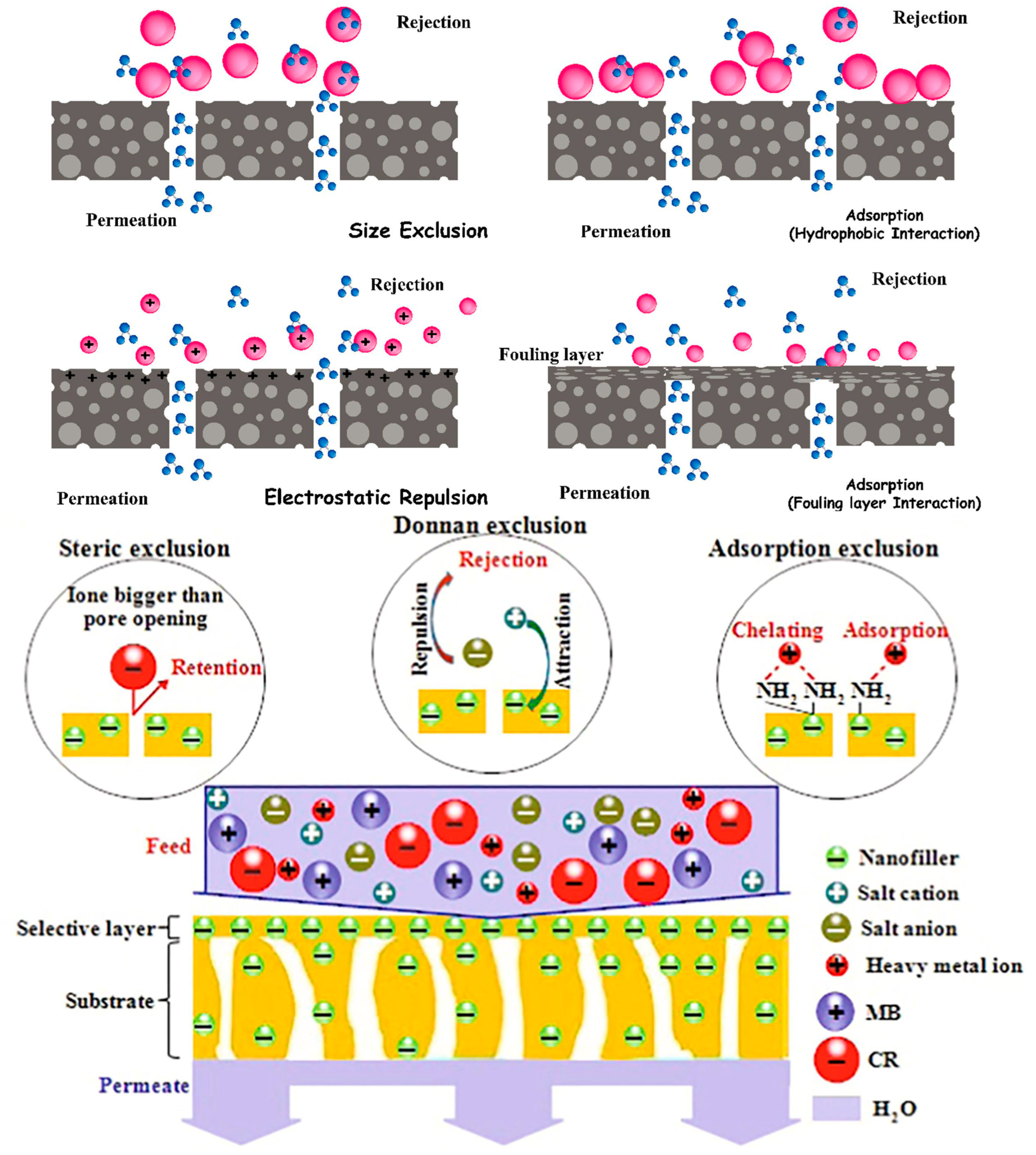 Polymers 16 00294 g007