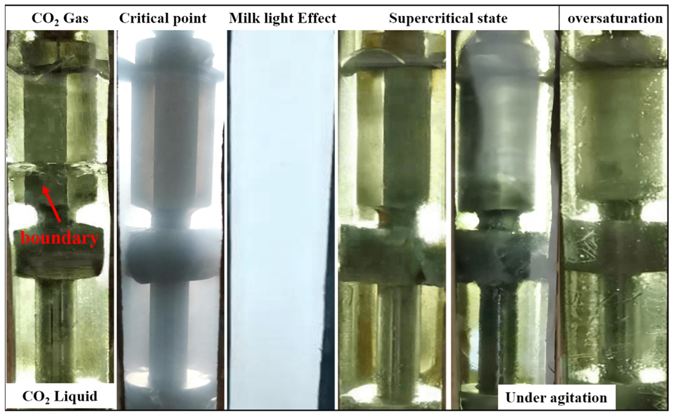 Polymers 16 00299 g006