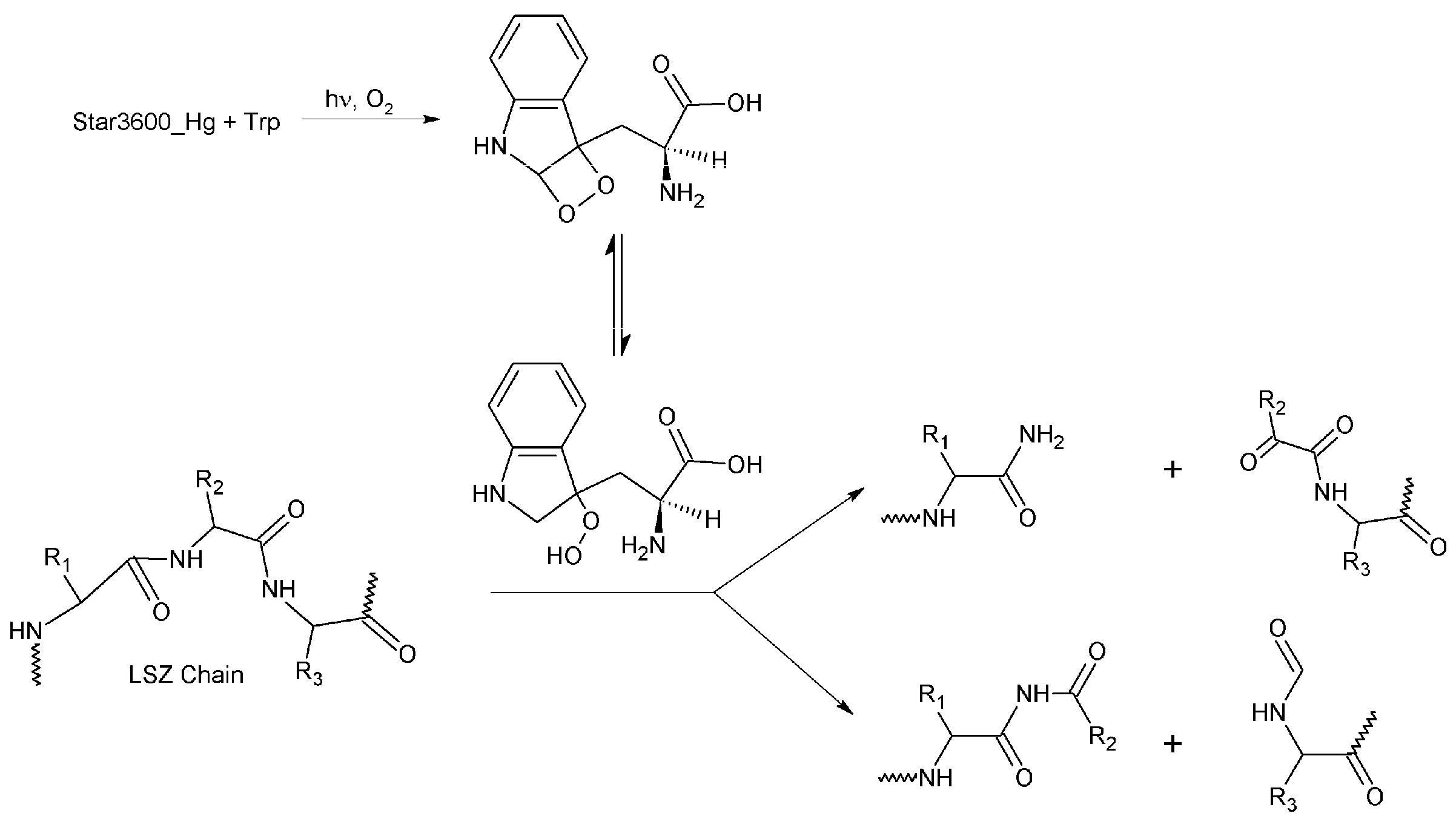 Polymers 16 00301 g013 Polymers 16 00301 g013