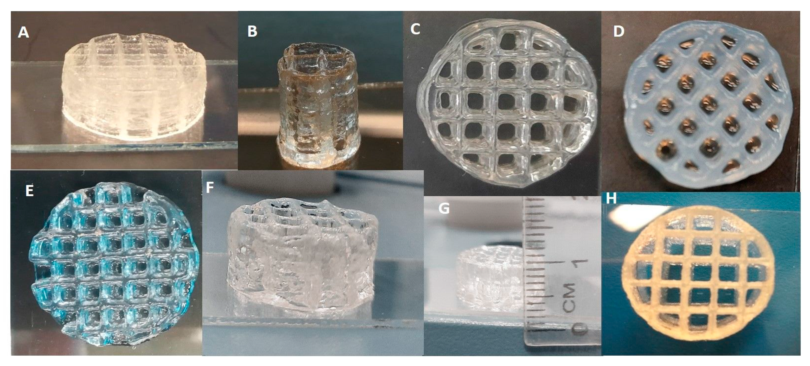 Polymers 16 00305 g007