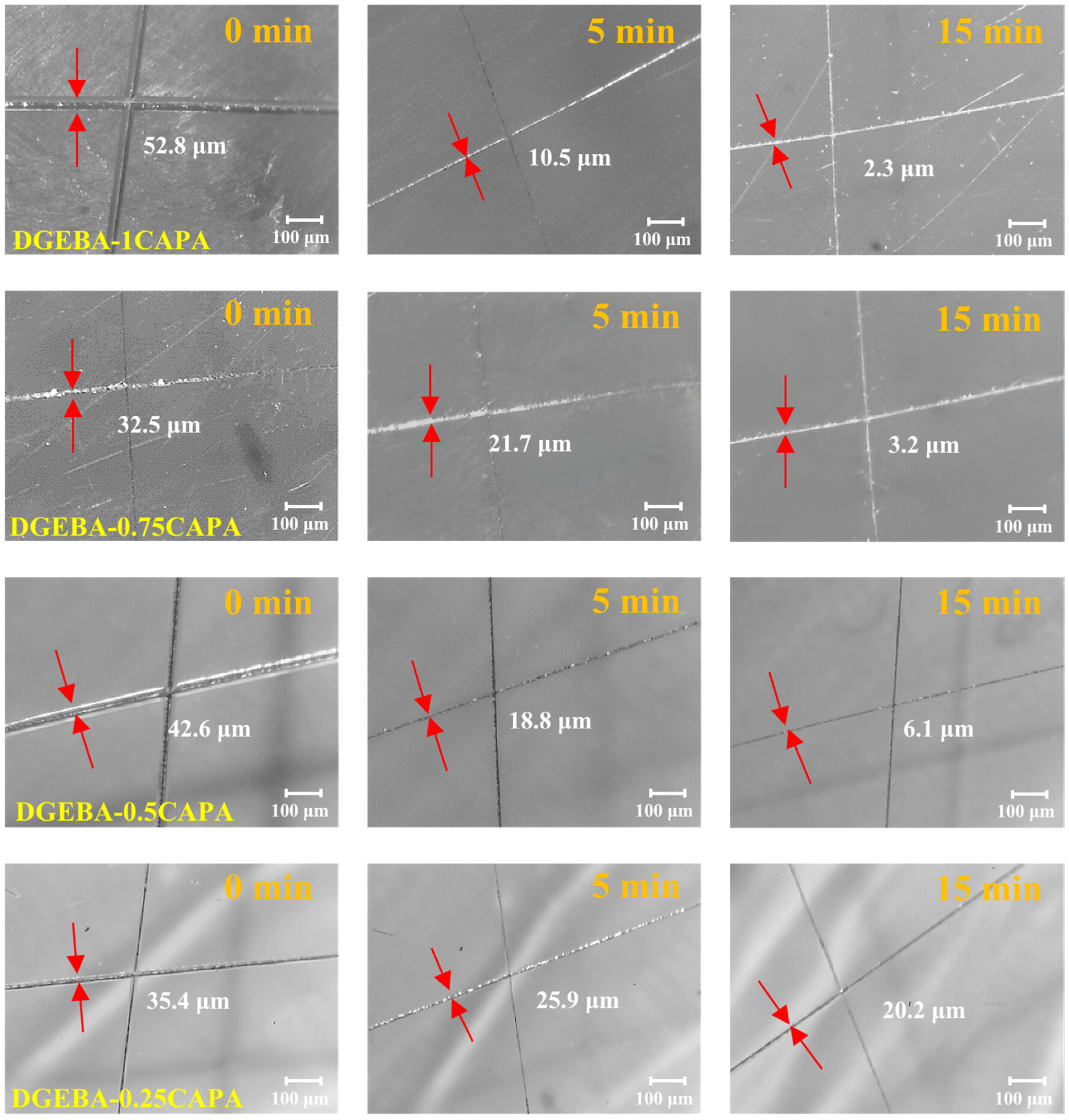 Polymers 16 00307 g006