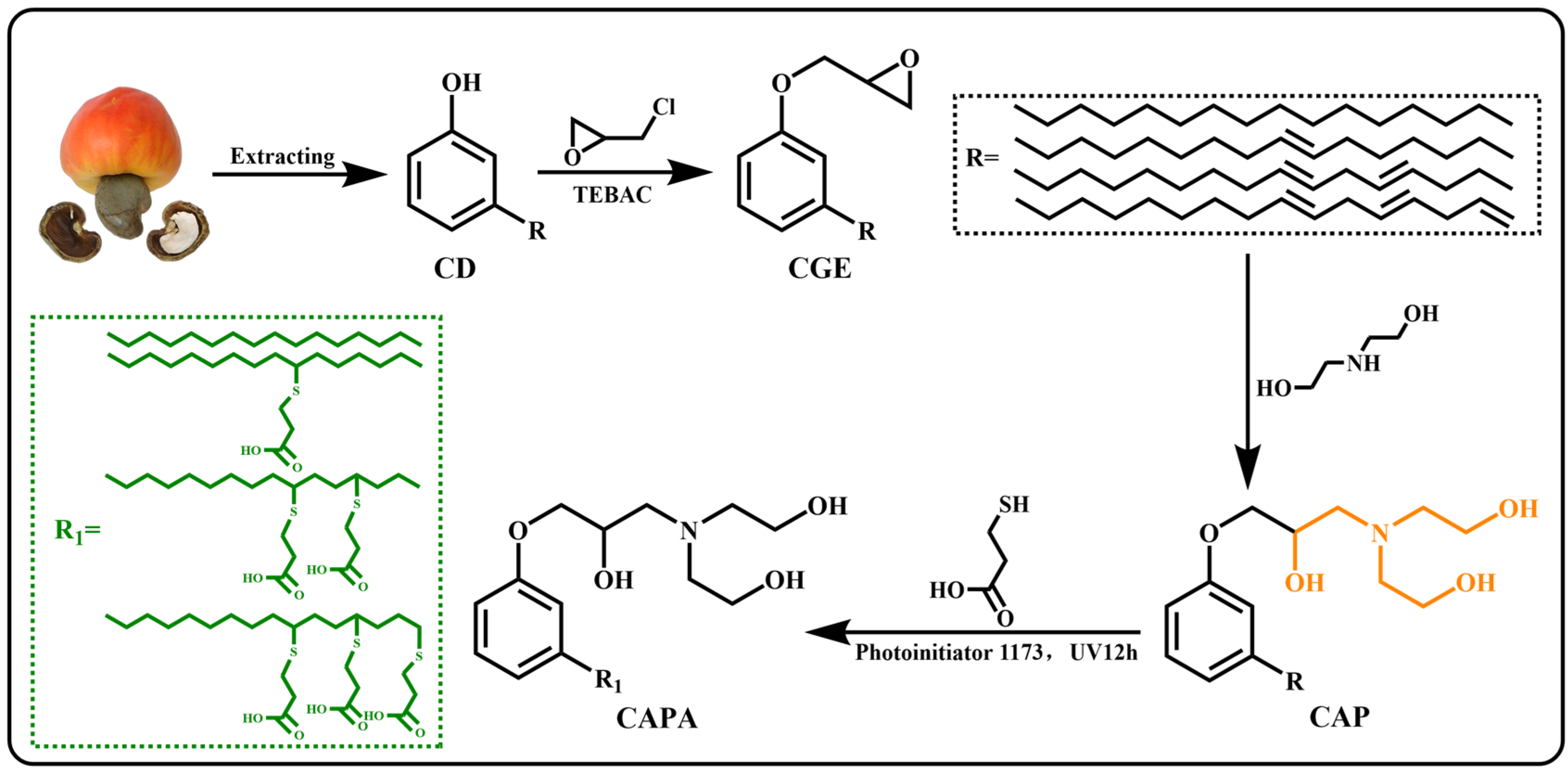 Polymers 16 00307 sch001