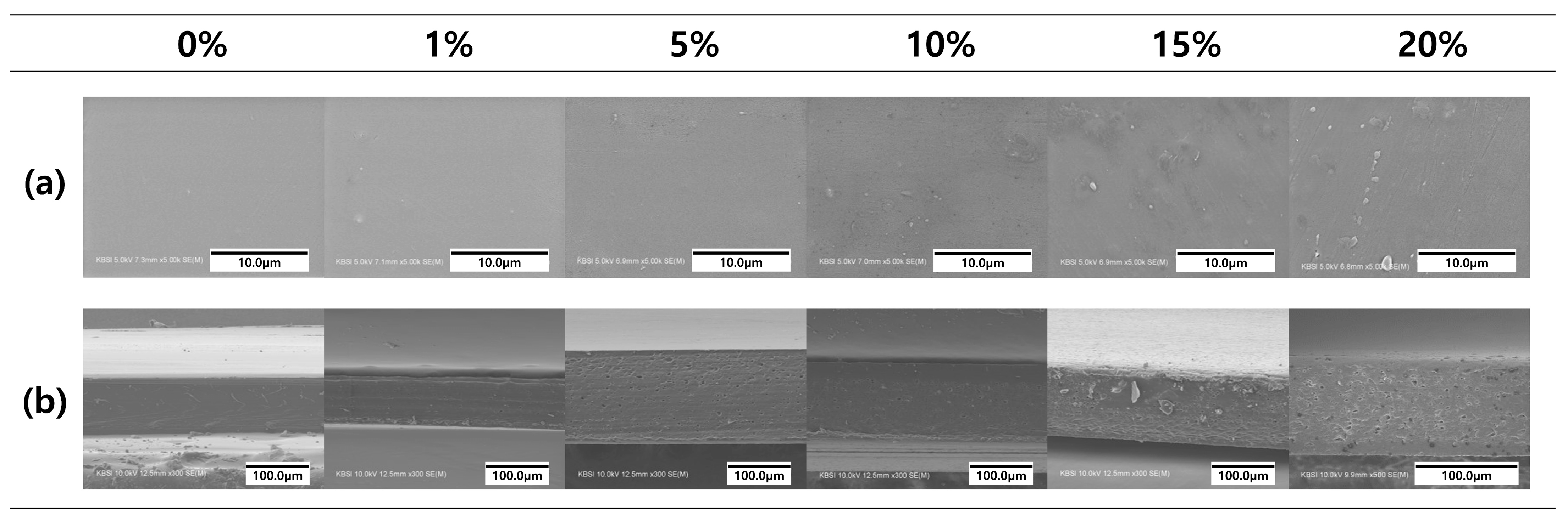 Polymers 16 00310 g006