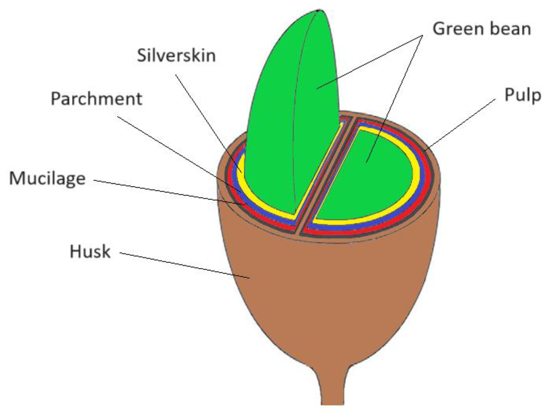 Polymers 16 00314 g002