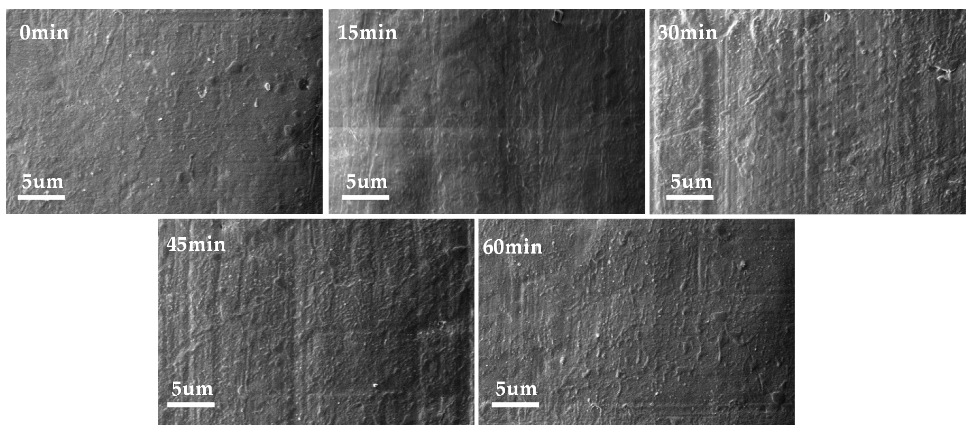 Polymers 16 00316 g003