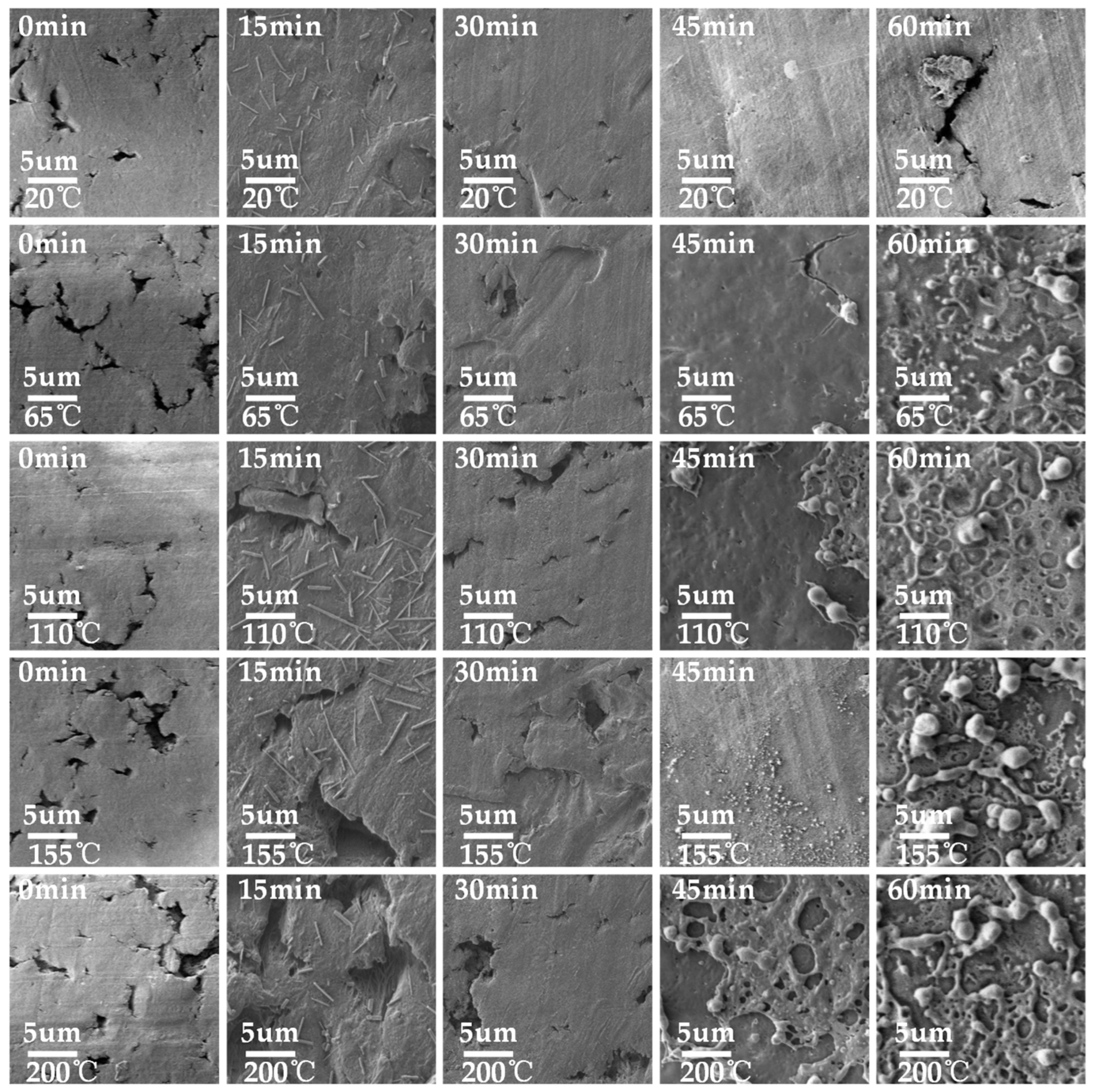 Polymers 16 00316 g012