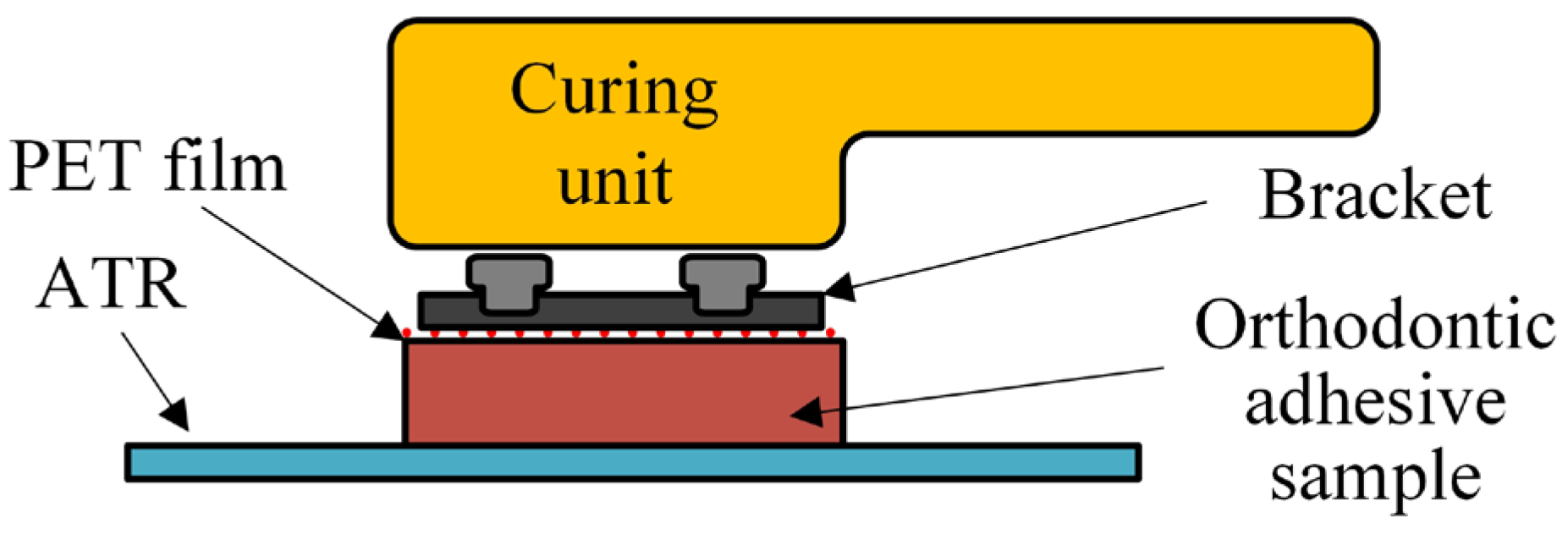 Polymers 16 00318 g002