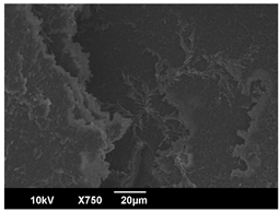 Polymers 16 00320 i001 Polymers 16 00320 i001