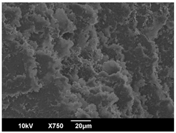 Polymers 16 00320 i002 Polymers 16 00320 i002