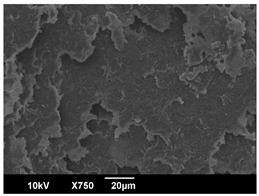 Polymers 16 00320 i003 Polymers 16 00320 i003