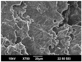 Polymers 16 00320 i005 Polymers 16 00320 i005