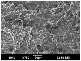 Polymers 16 00320 i006 Polymers 16 00320 i006