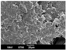 Polymers 16 00320 i008 Polymers 16 00320 i008
