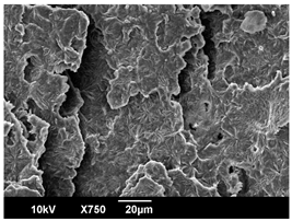 Polymers 16 00320 i009 Polymers 16 00320 i009
