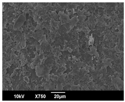 Polymers 16 00320 i010 Polymers 16 00320 i010